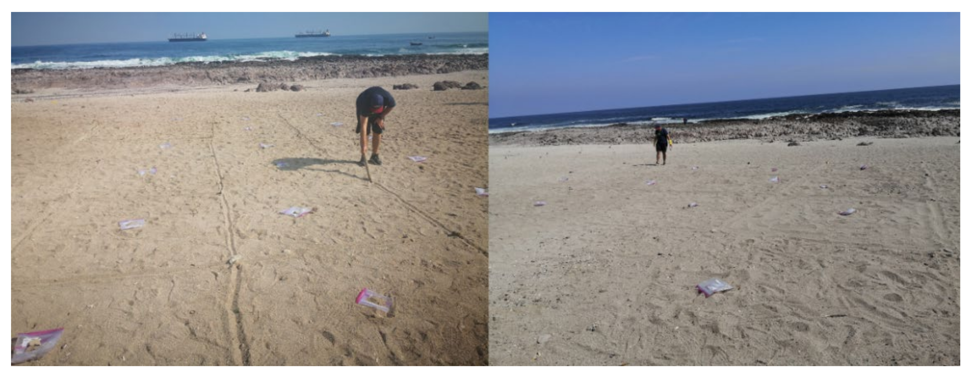 Ijerph 17 08384 g003