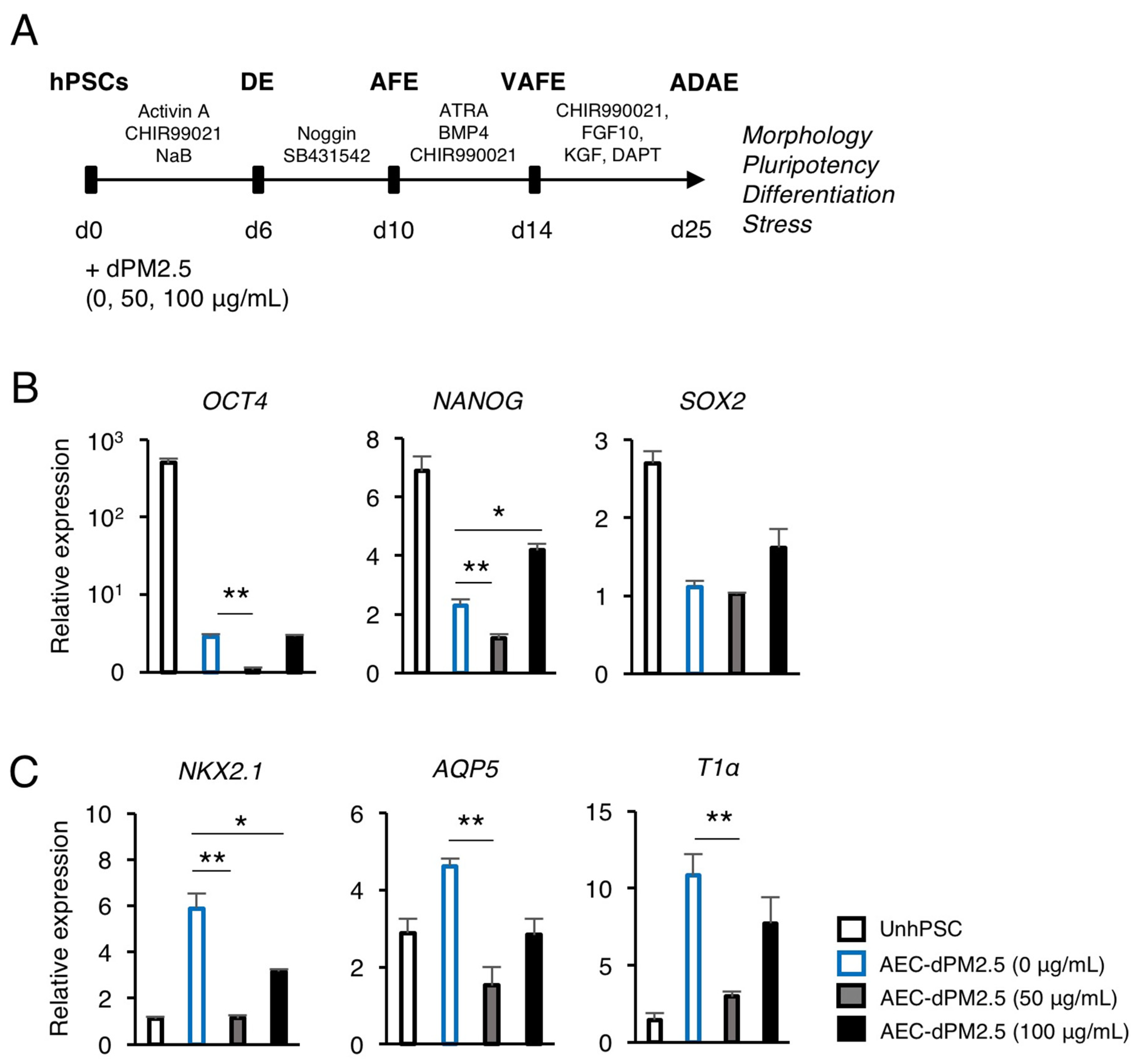Ijerph 17 08410 g002 Ijerph 17 08410 g002