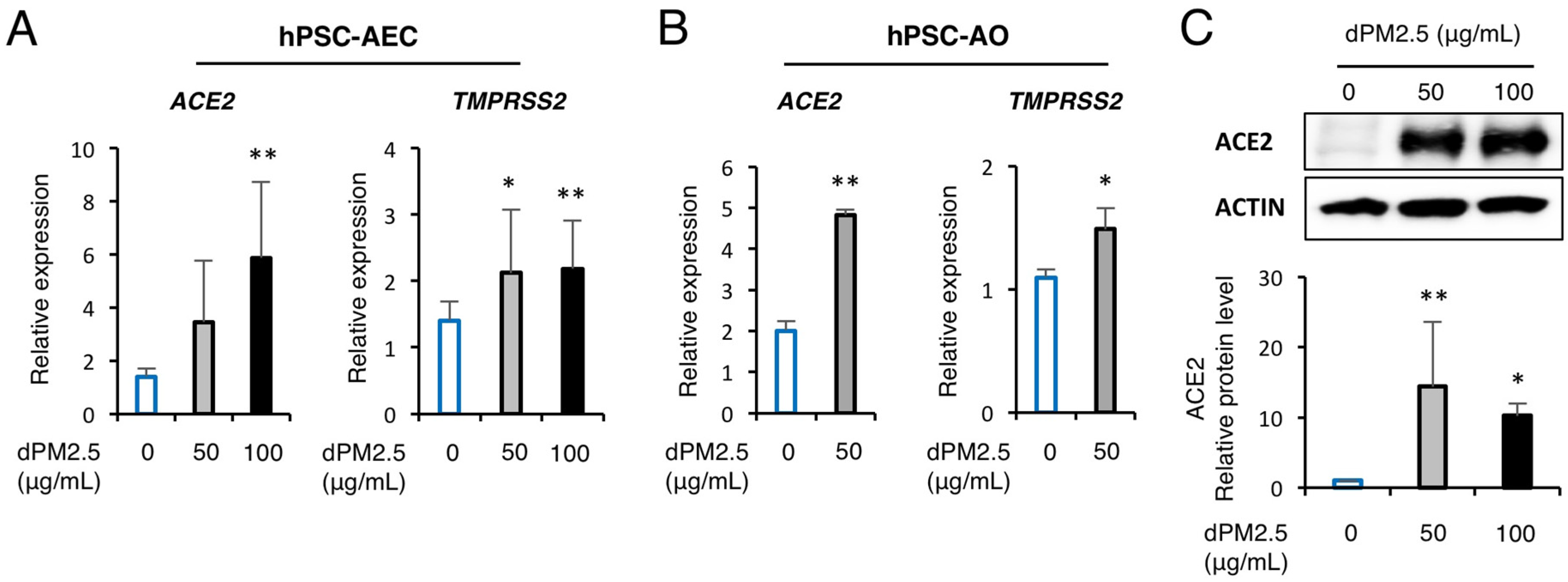 Ijerph 17 08410 g005 Ijerph 17 08410 g005