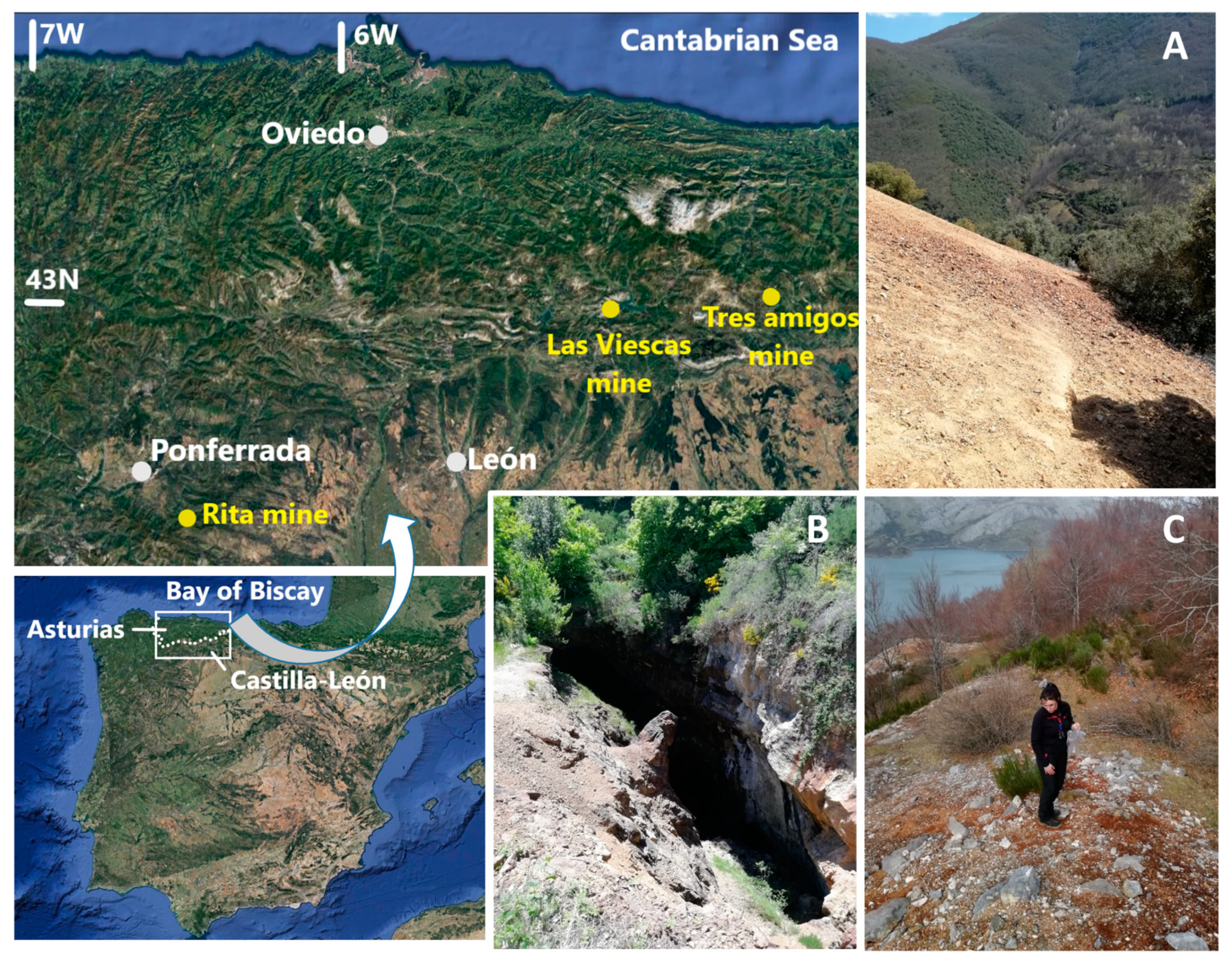 Ijerph 17 08426 g001