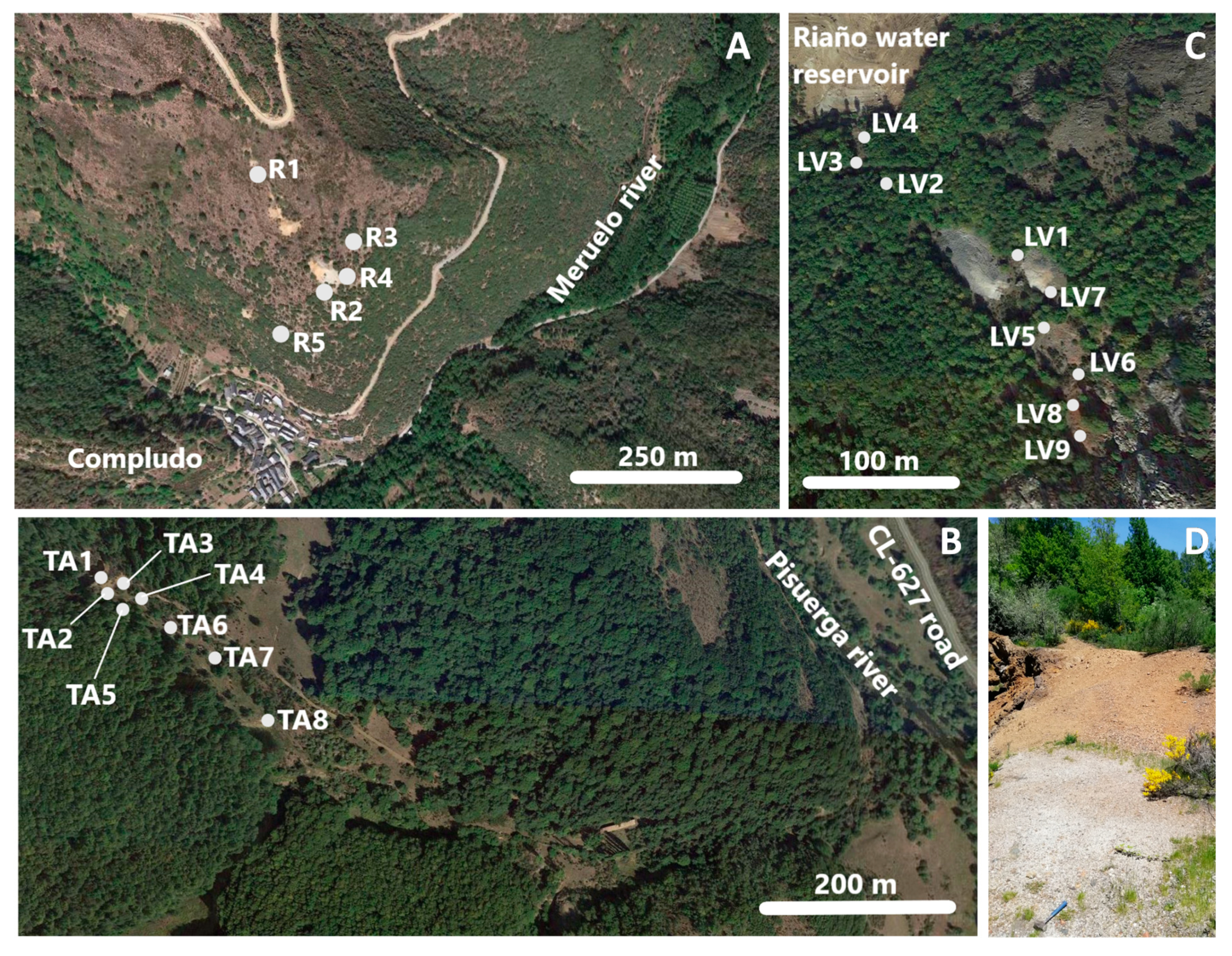 Ijerph 17 08426 g002