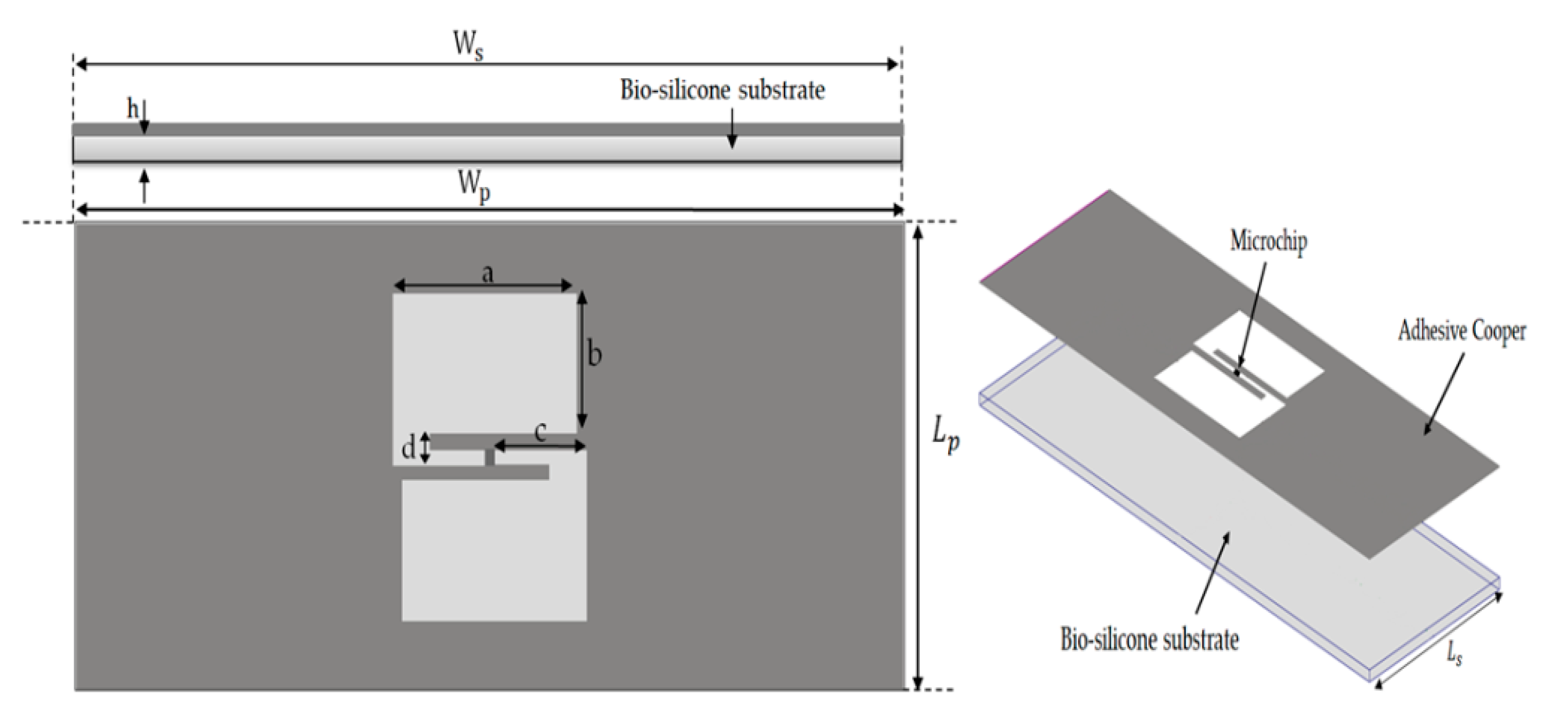Ijerph 17 08593 g001