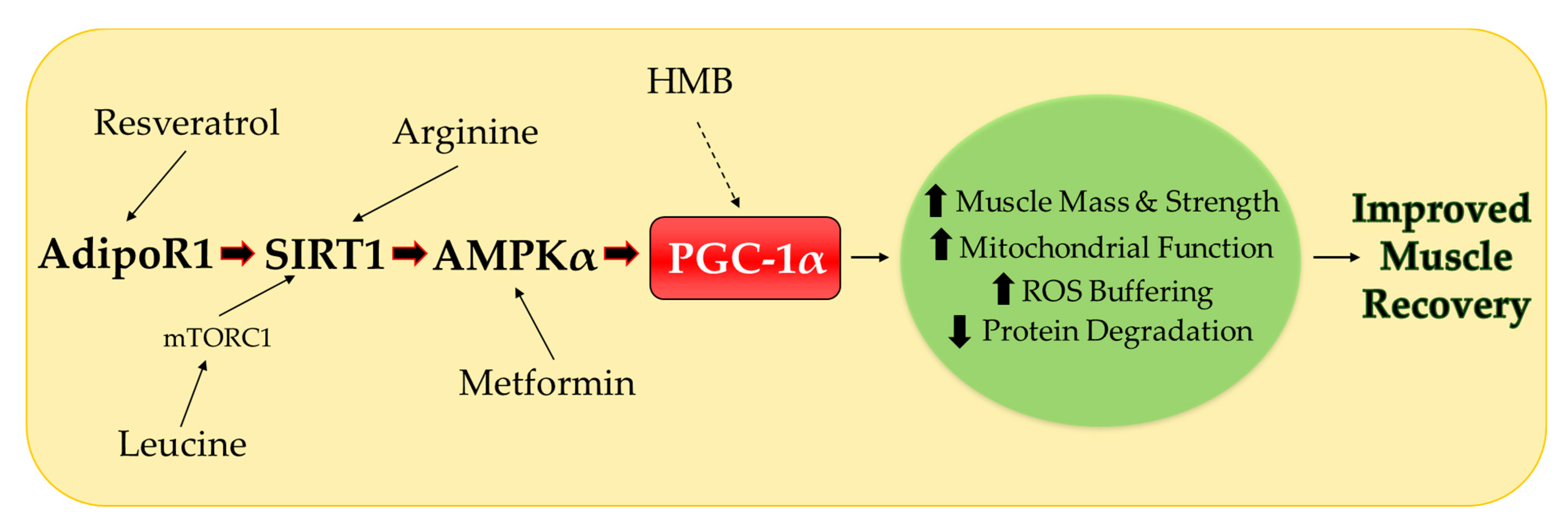 Ijerph 17 08650 g002 Ijerph 17 08650 g002