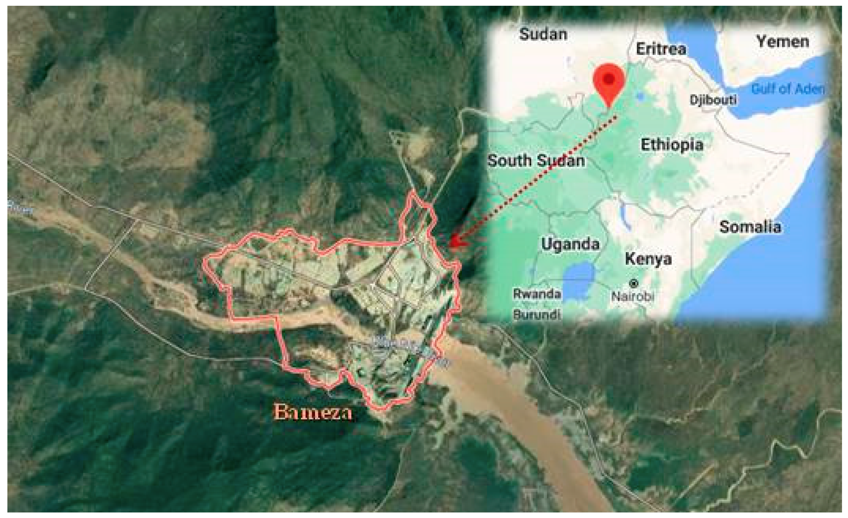 Ijerph 17 08652 g001