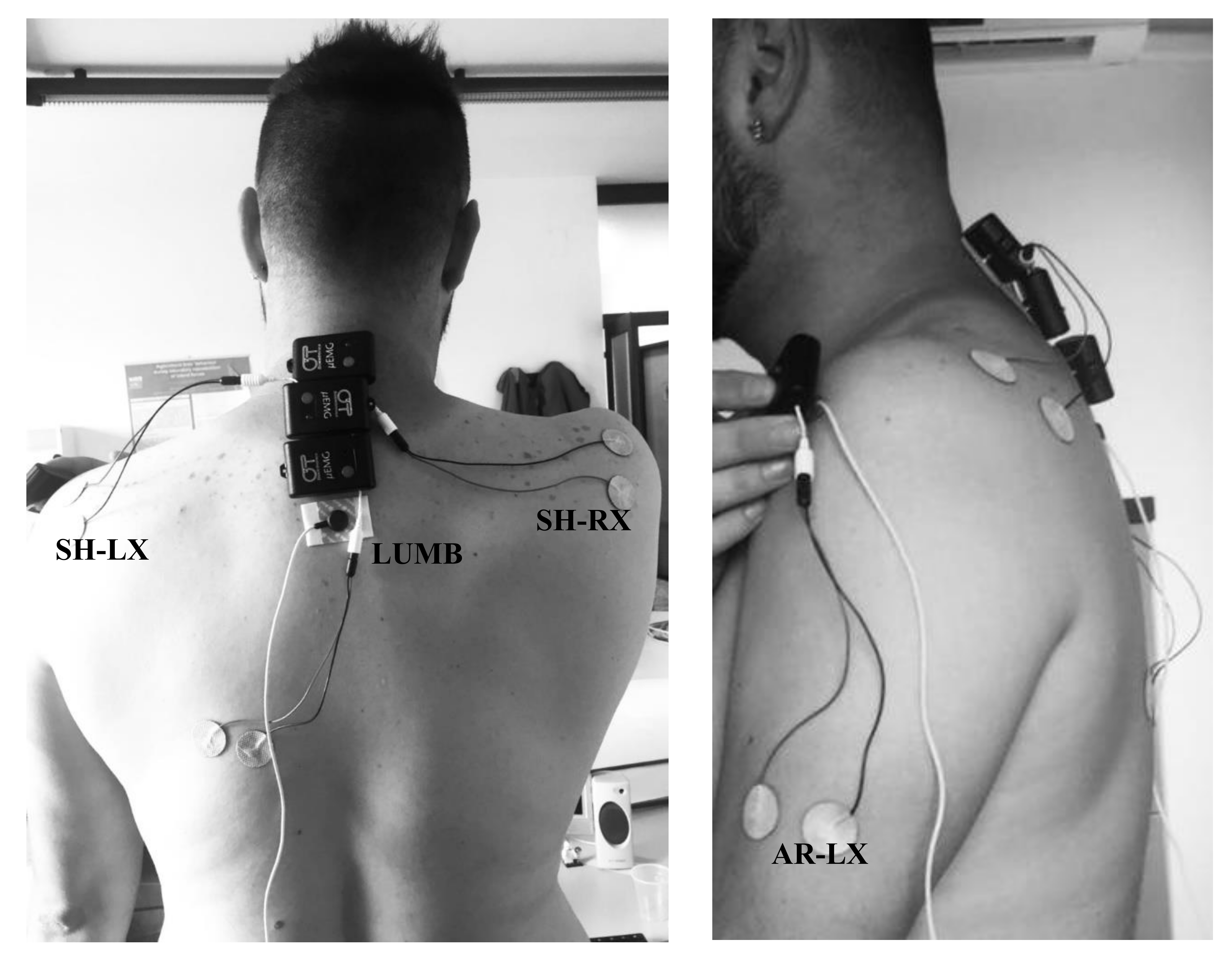 Ijerph 17 08836 g003