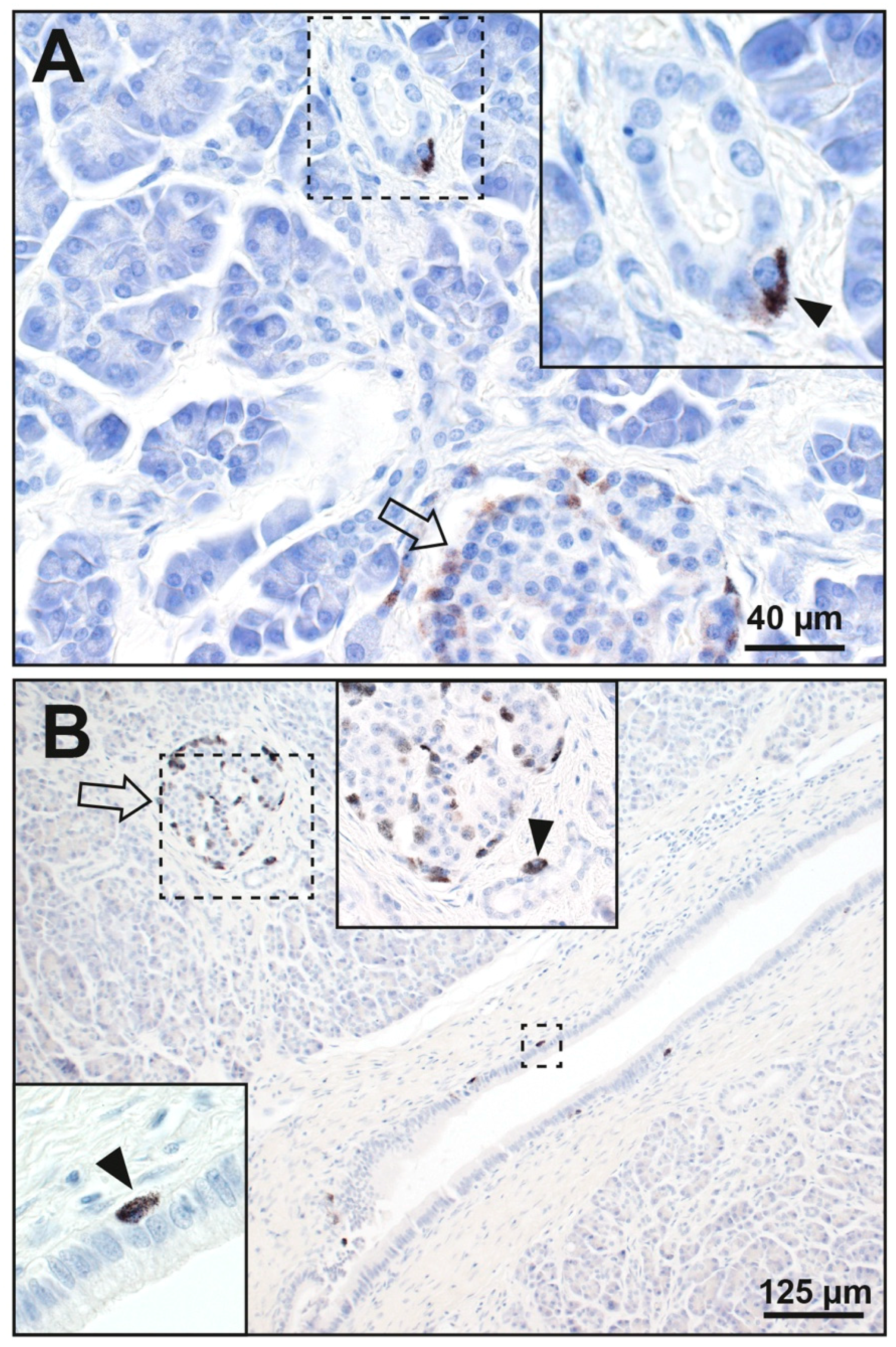 Ijerph 17 08990 g004