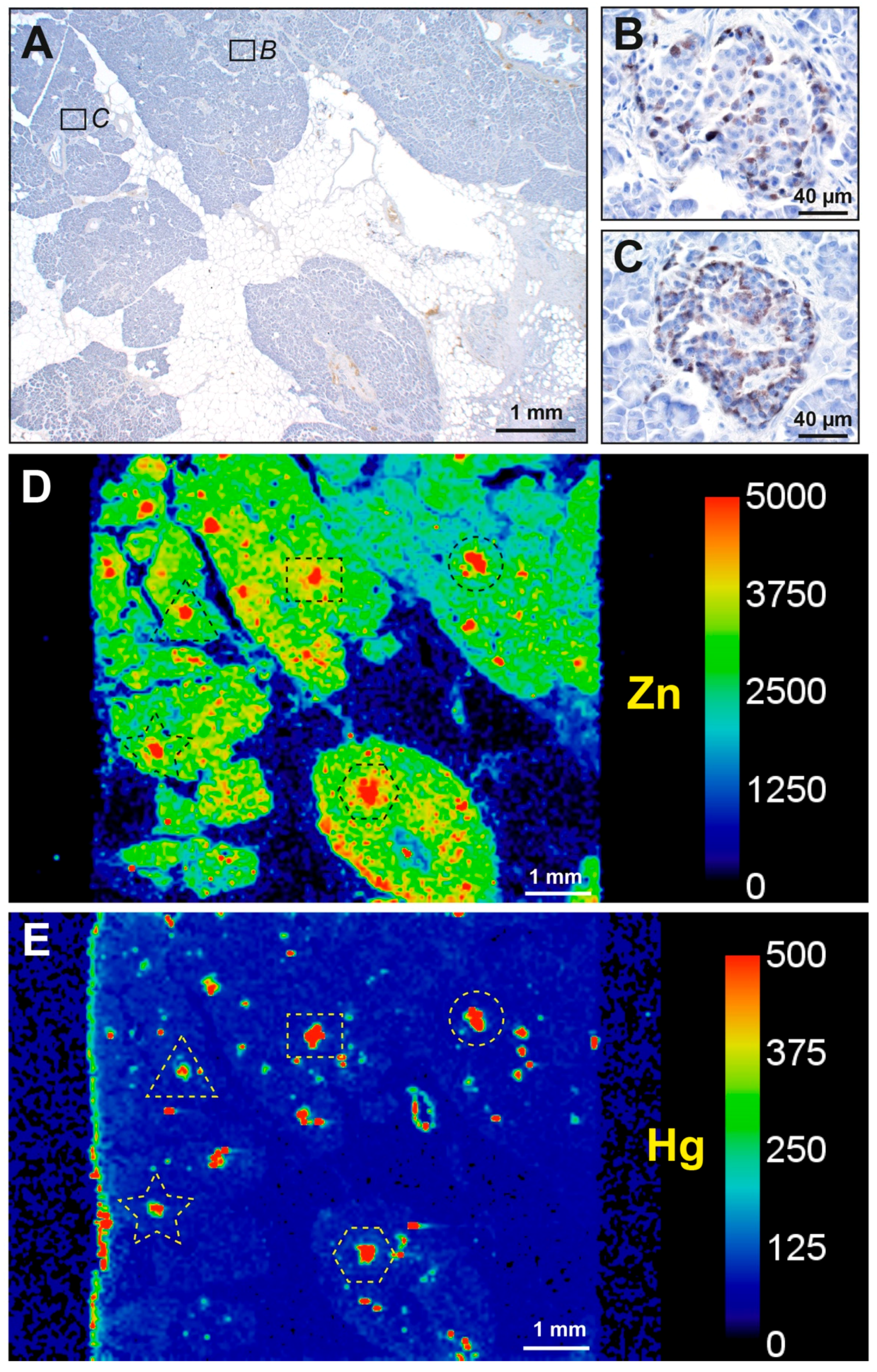 Ijerph 17 08990 g005