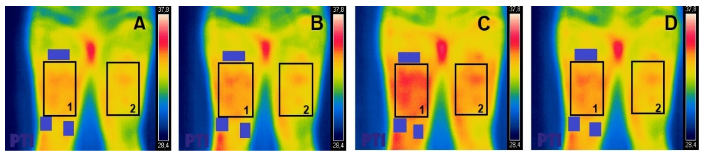 Ijerph 17 09028 g001