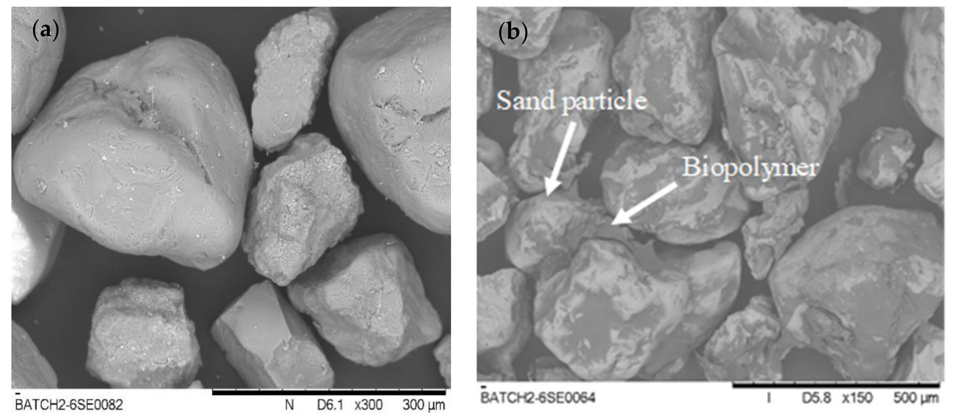 Ijerph 17 09032 g003