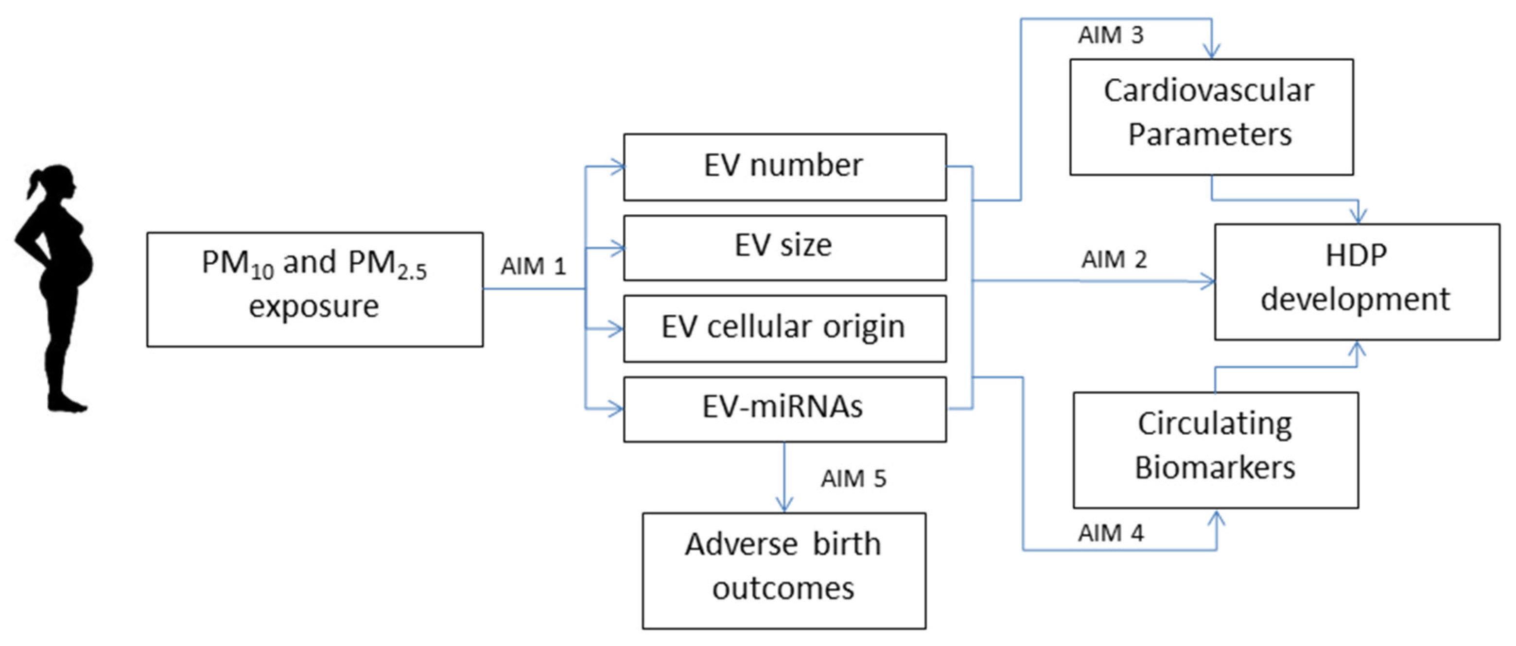 Ijerph 17 09046 g002