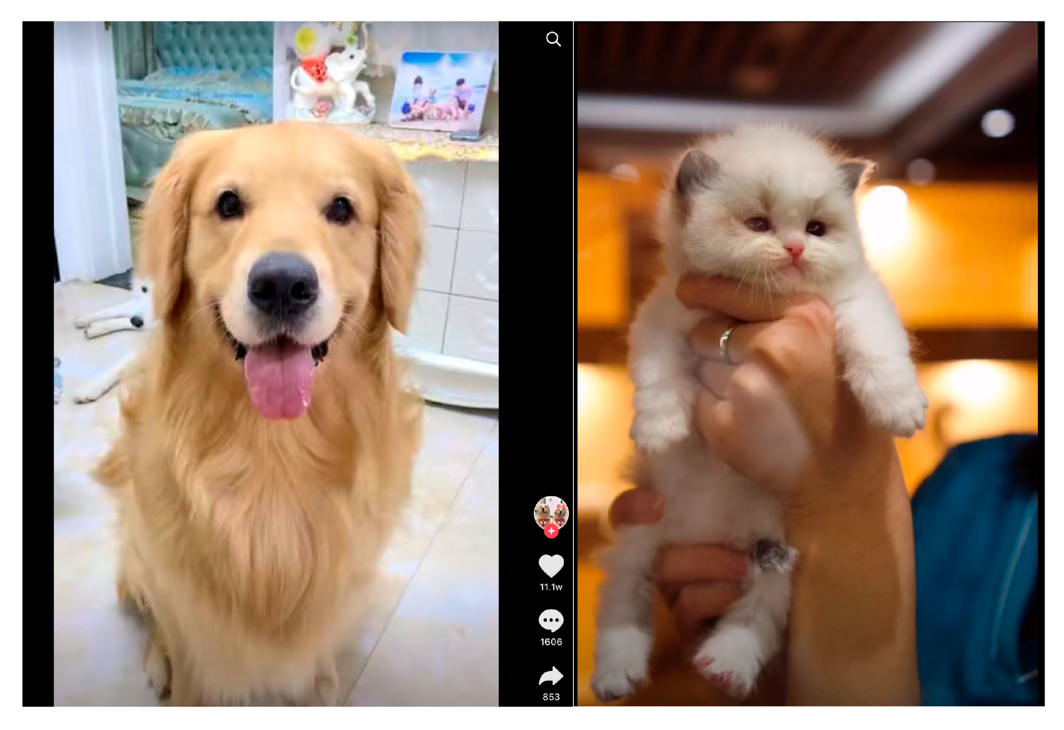 Ijerph 17 09093 g001