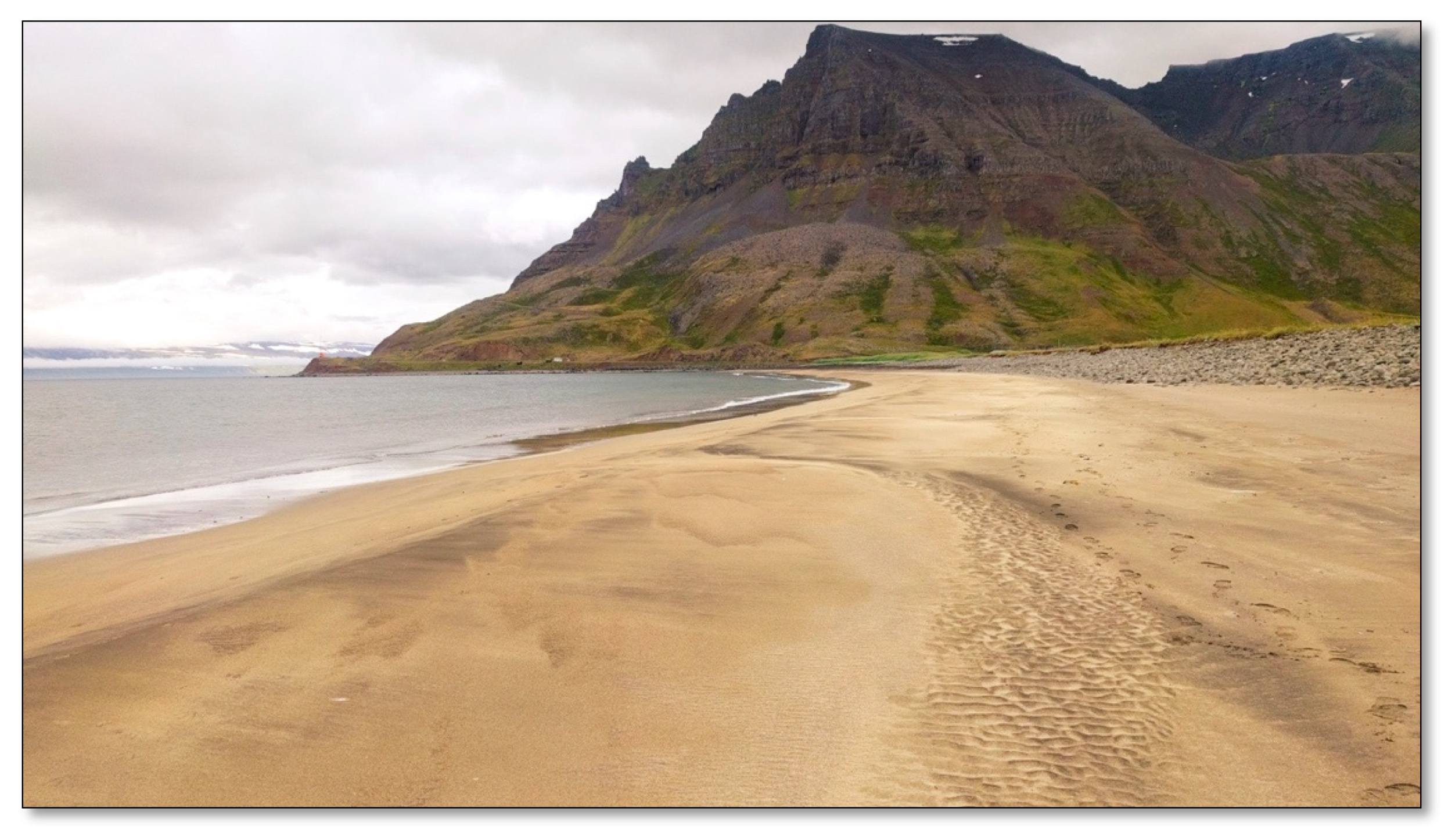 Ijerph 17 09095 g004