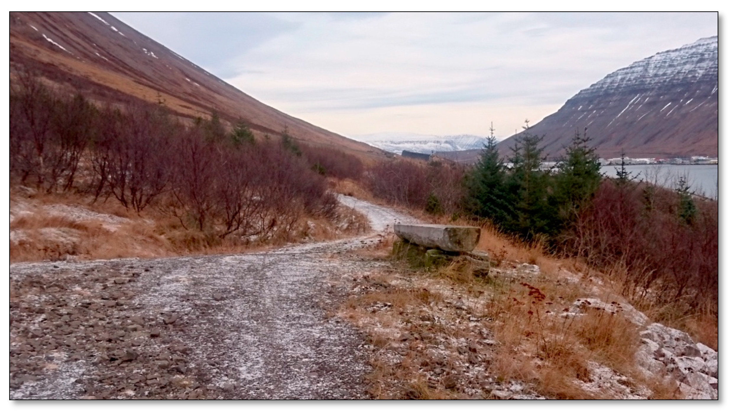 Ijerph 17 09095 g006