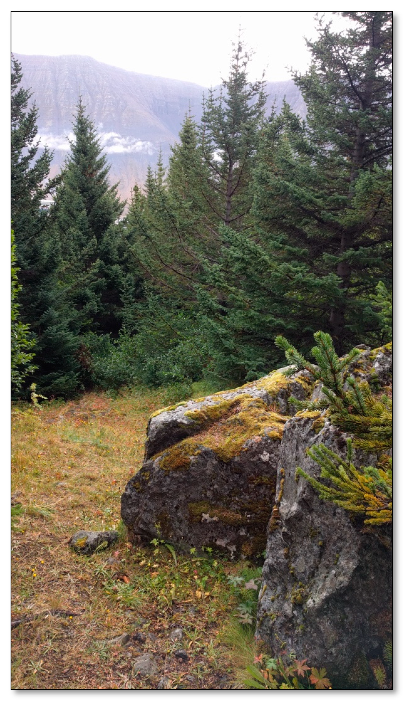 Ijerph 17 09095 g007