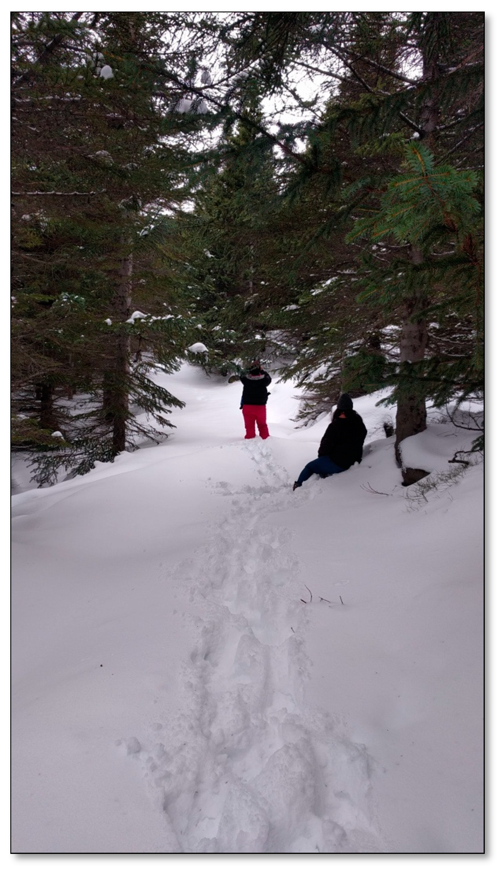 Ijerph 17 09095 g008