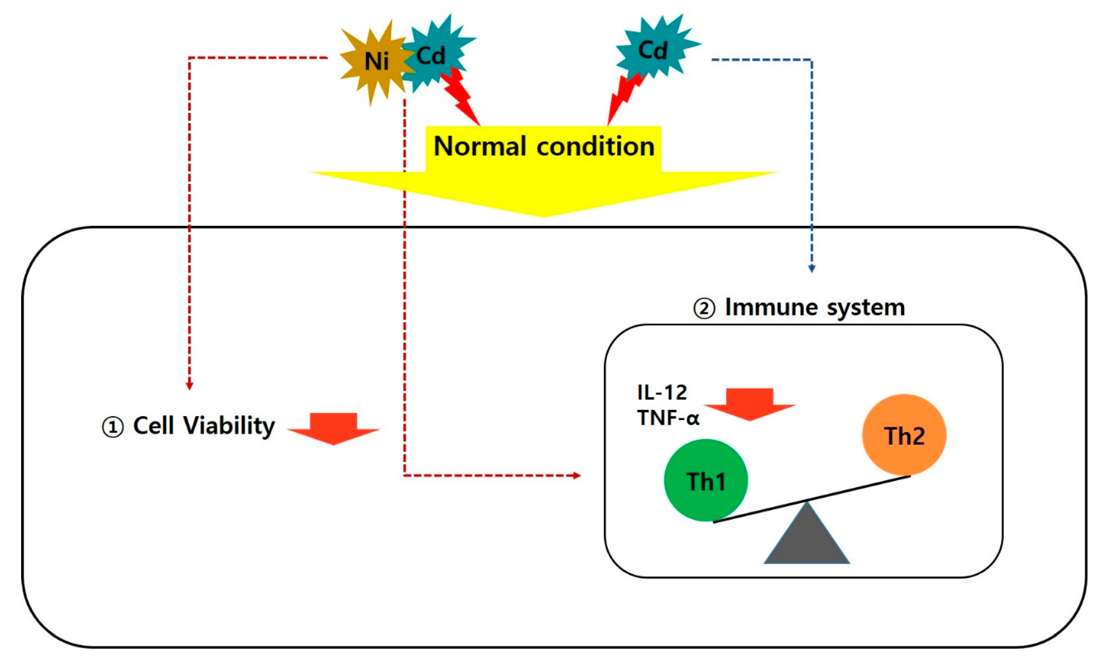 Ijerph 17 09218 g004