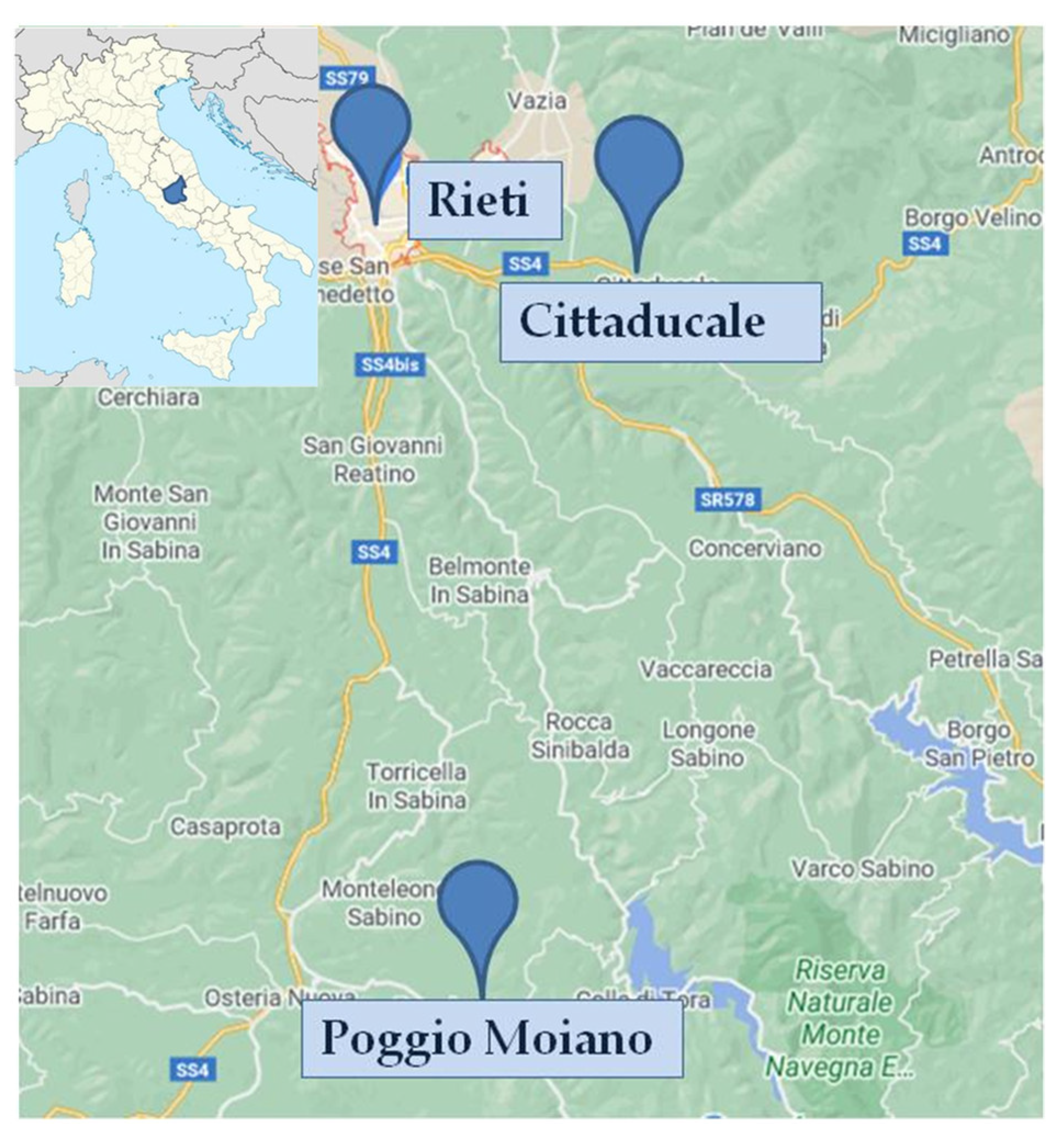 Ijerph 17 09225 g001 Ijerph 17 09225 g001