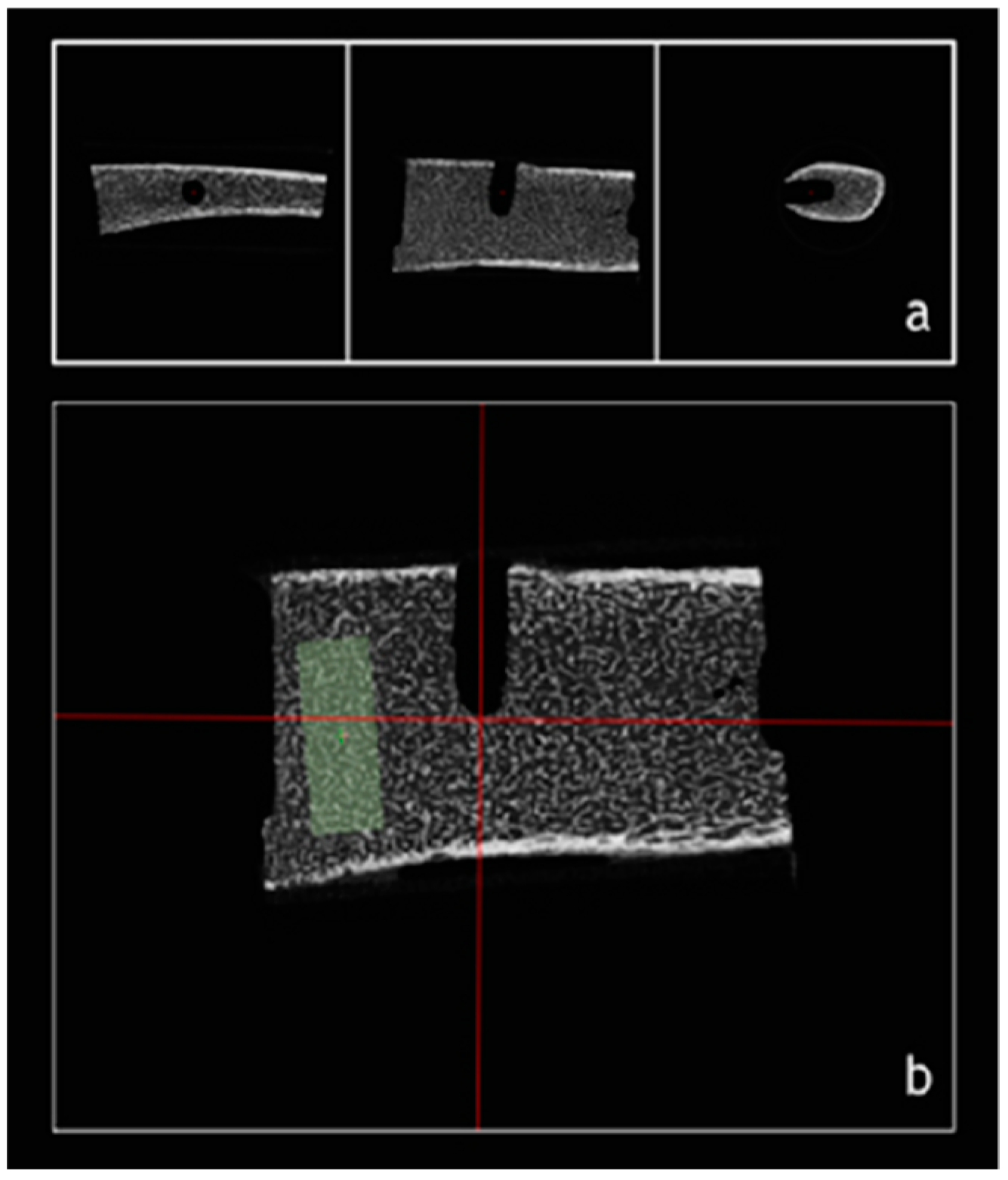 Ijerph 17 09282 g001 Ijerph 17 09282 g001