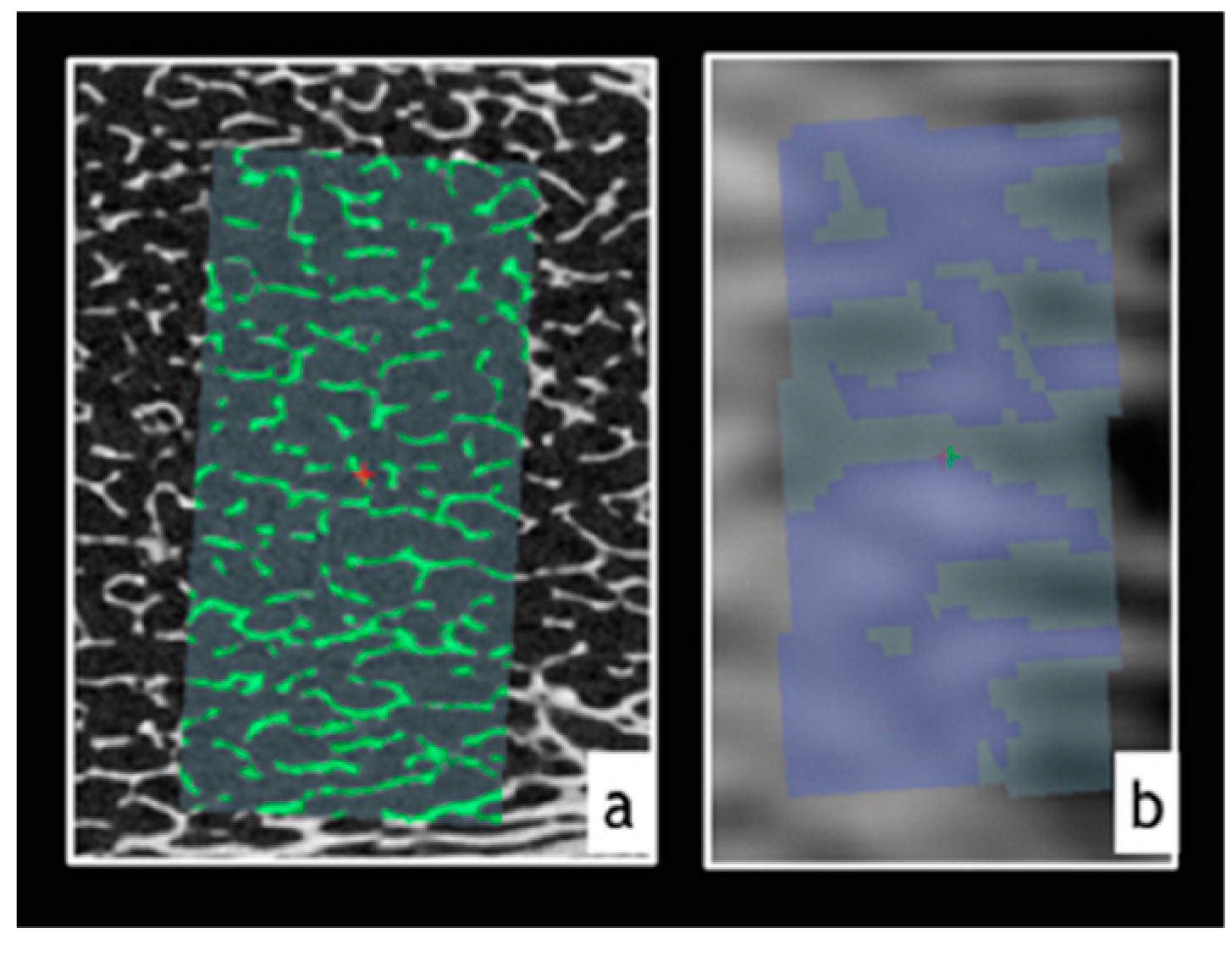 Ijerph 17 09282 g002 Ijerph 17 09282 g002