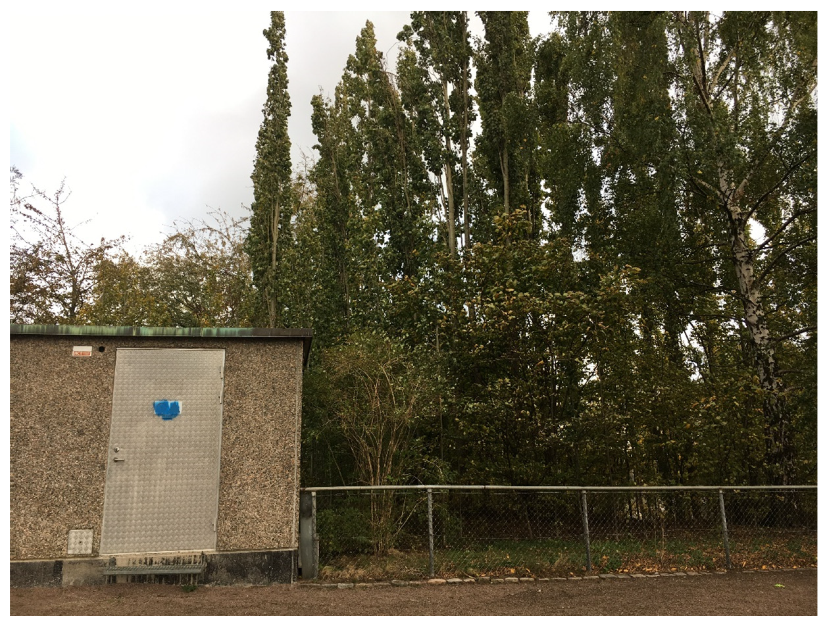 Ijerph 17 09357 g006