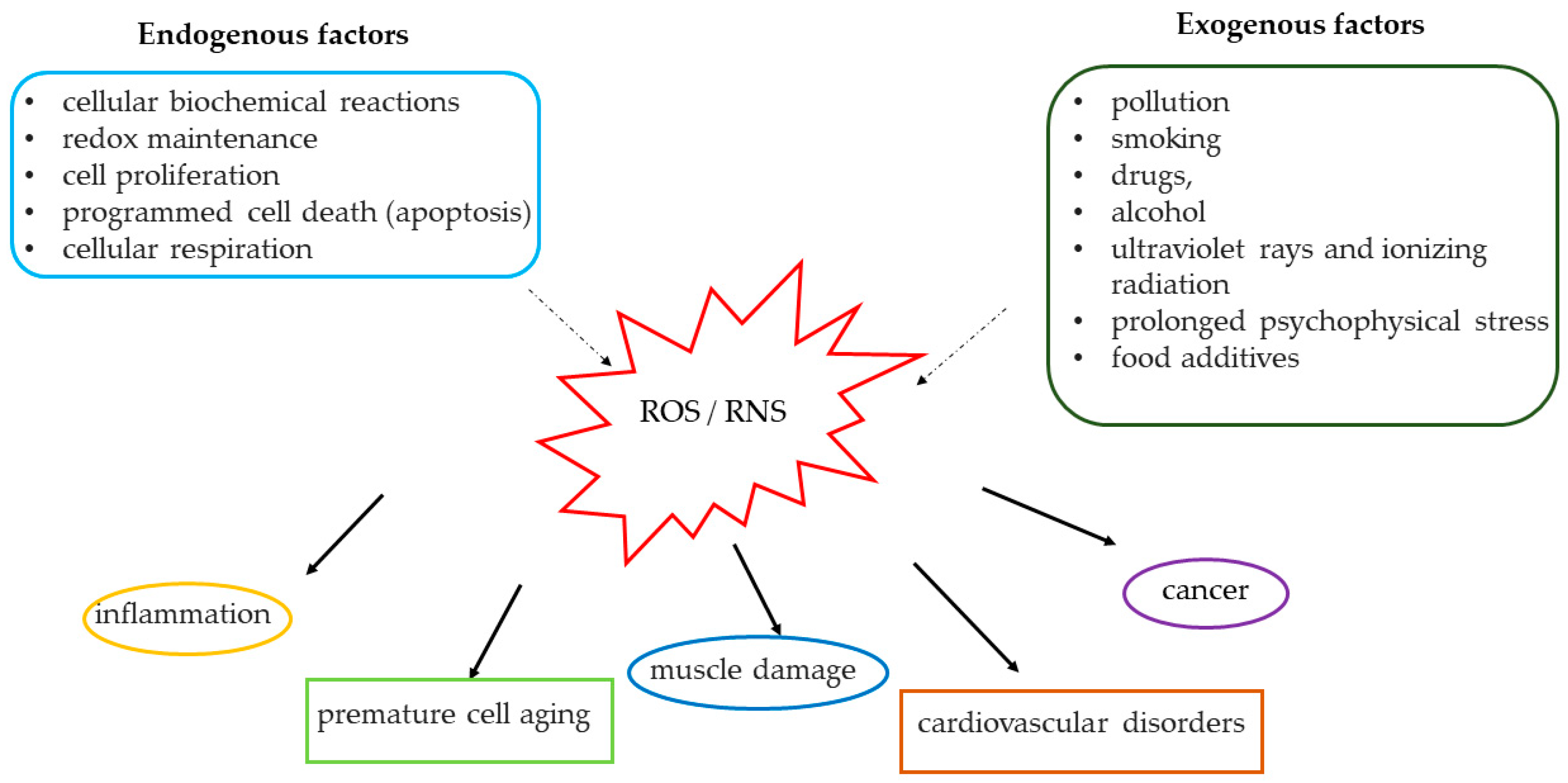 Ijerph 17 09424 g001 Ijerph 17 09424 g001