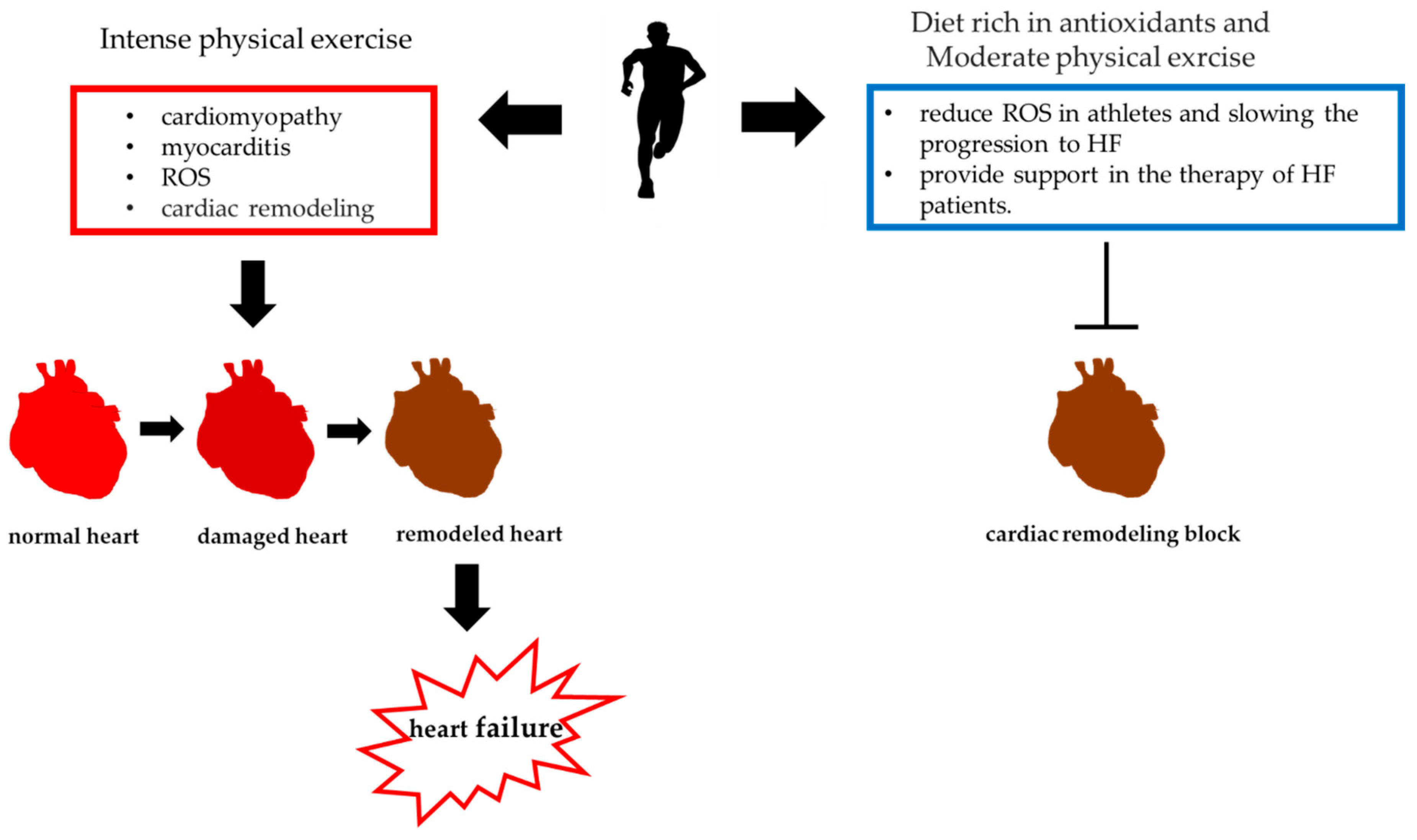 Ijerph 17 09424 g004 Ijerph 17 09424 g004