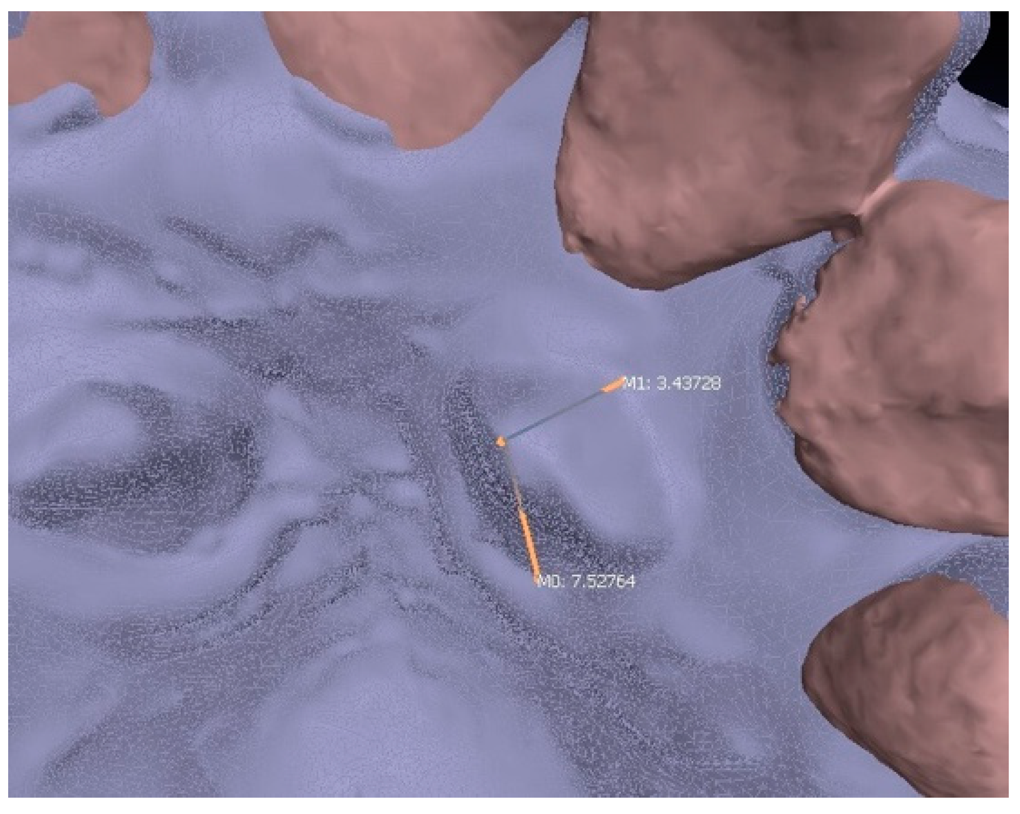 Ijerph 17 09428 g005