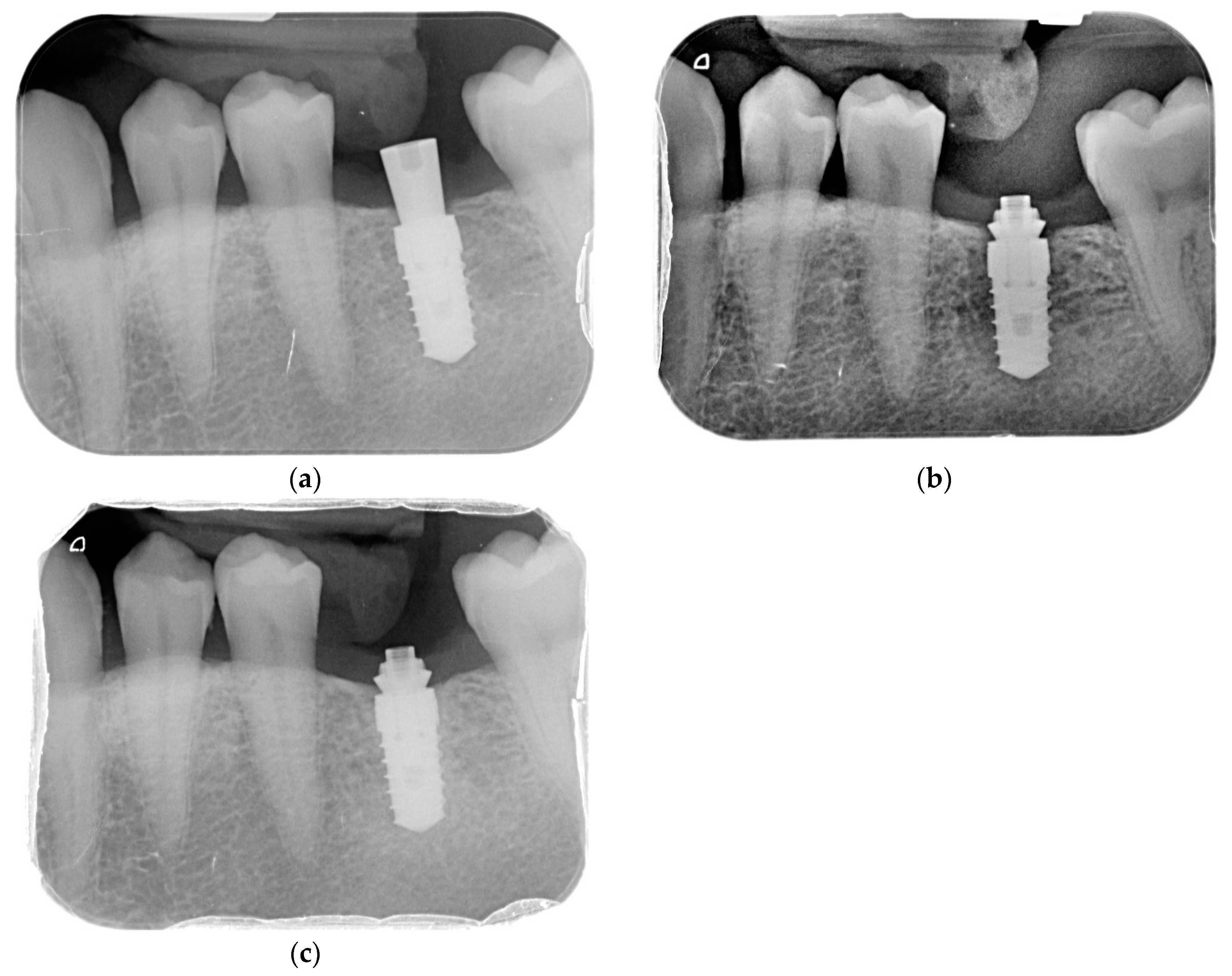 Ijerph 17 09453 g002
