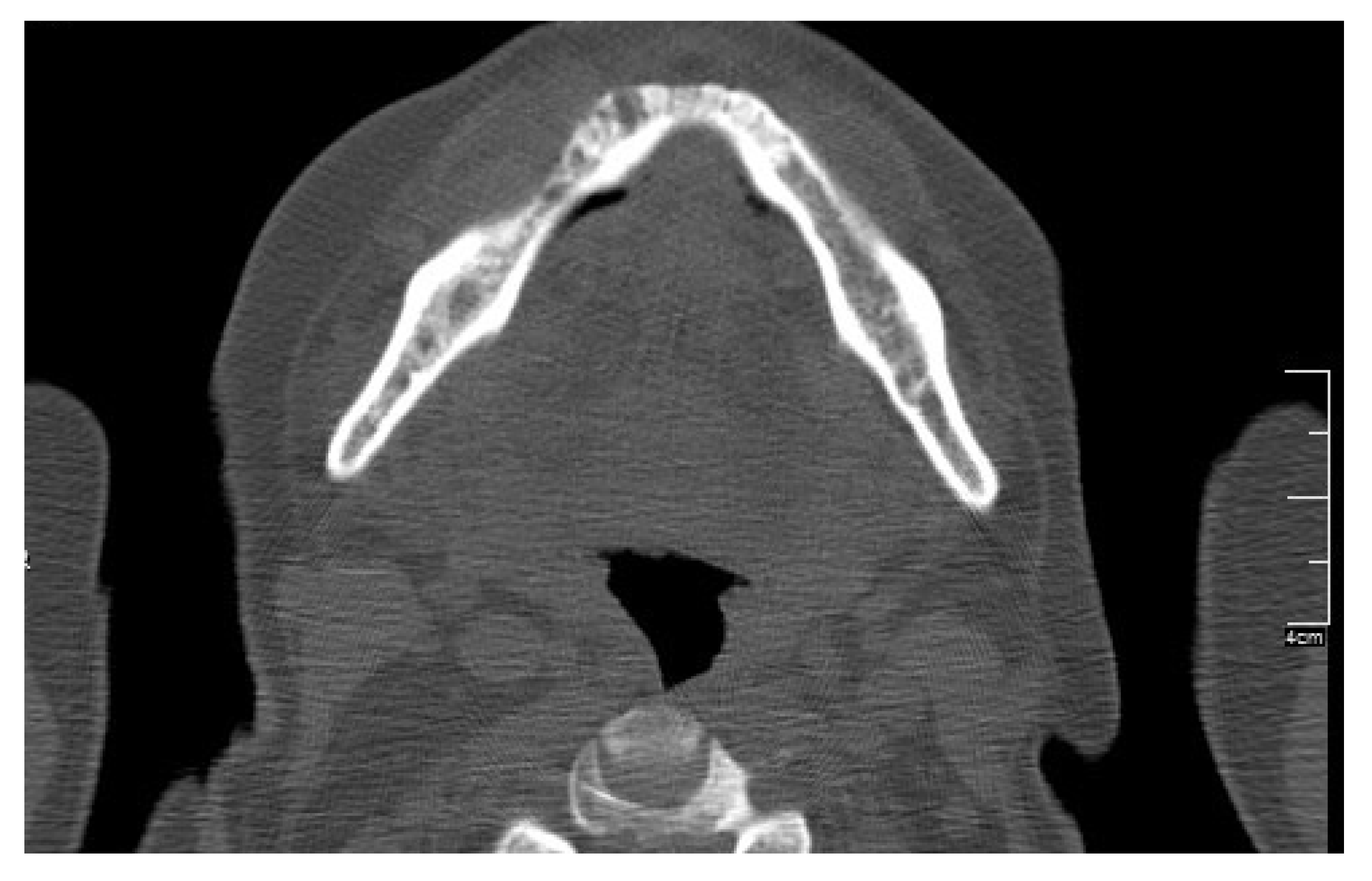 Ijerph 17 09509 g001 Ijerph 17 09509 g001