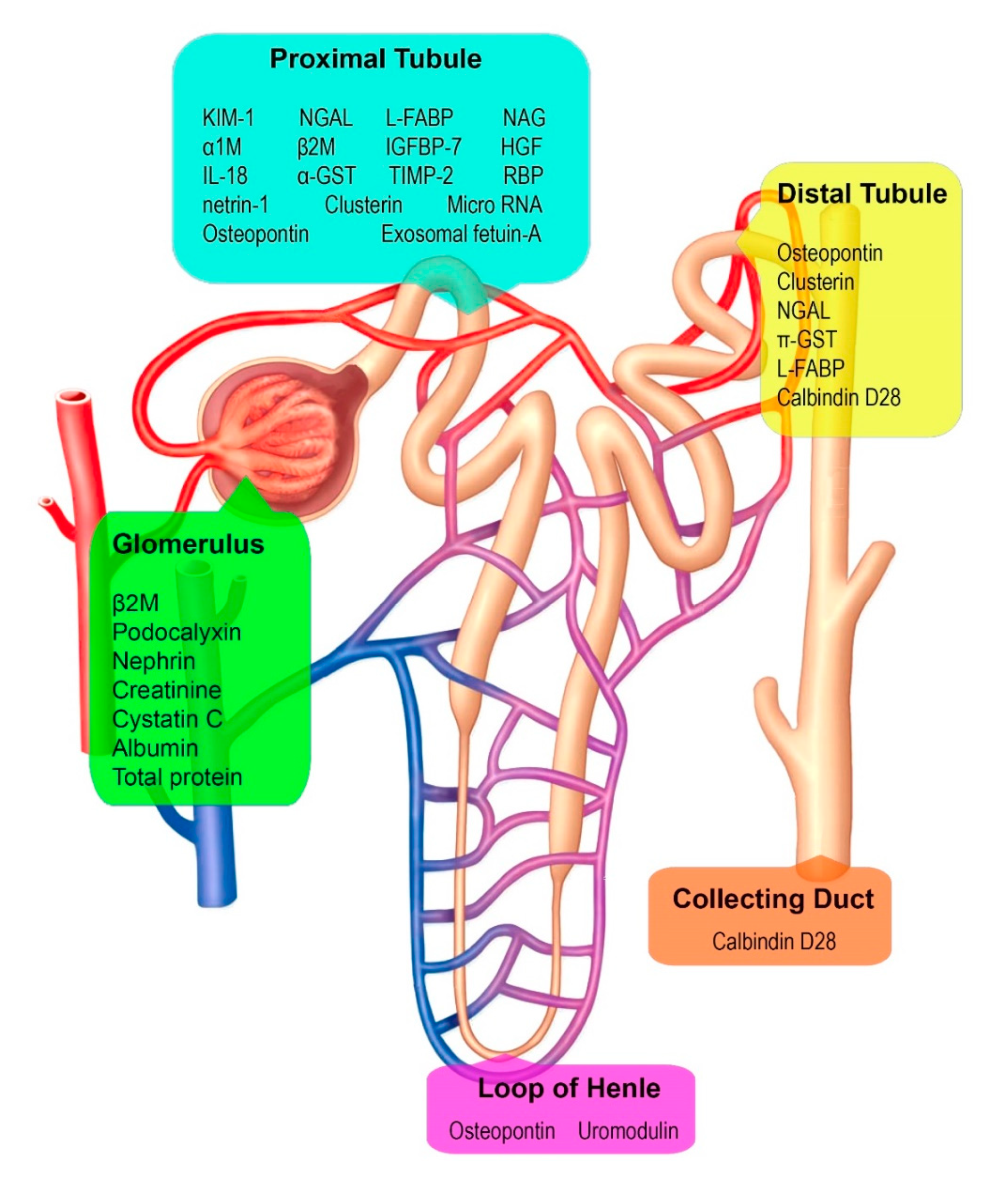 Ijerph 17 09522 g002
