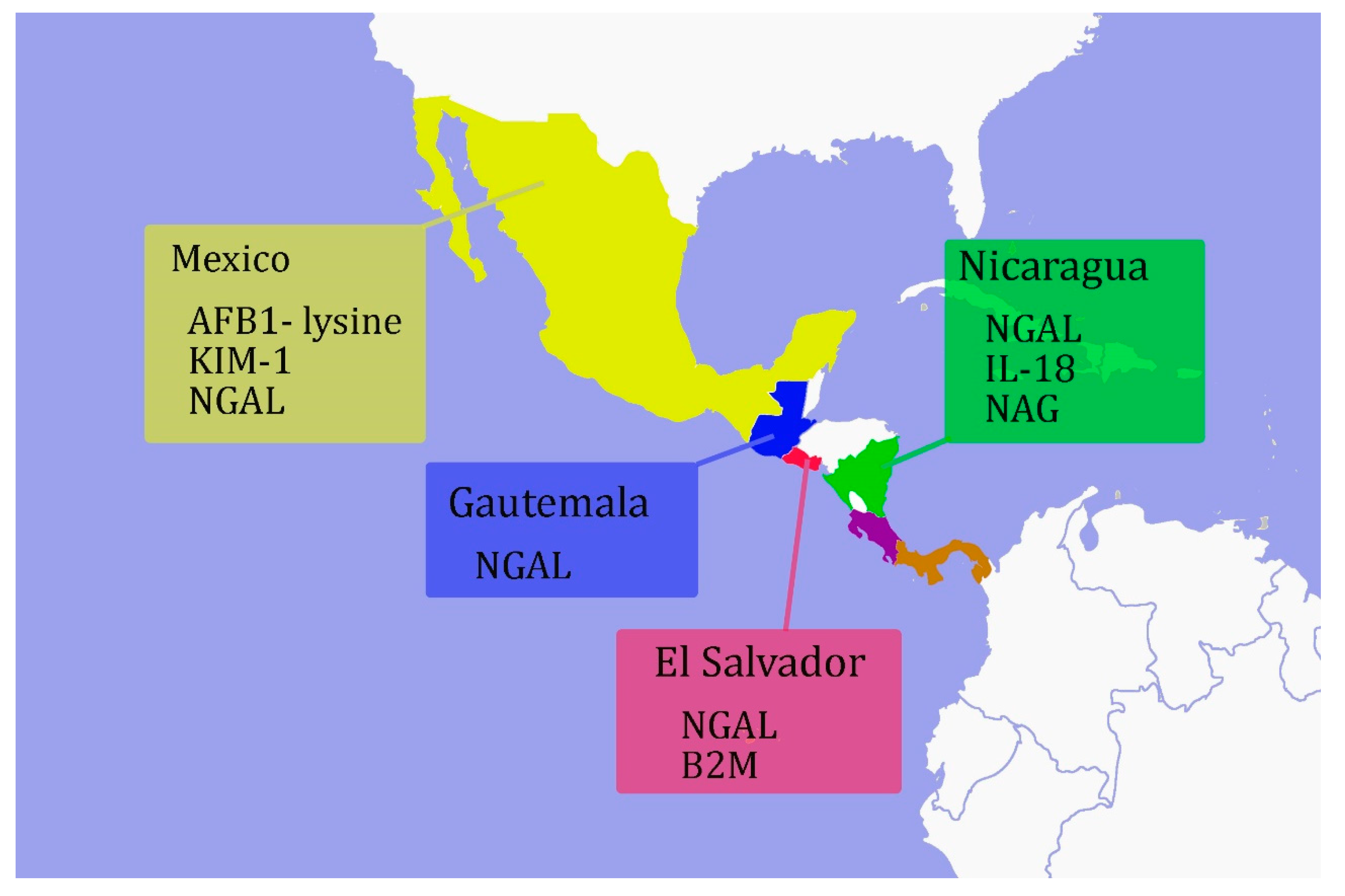 Ijerph 17 09522 g003