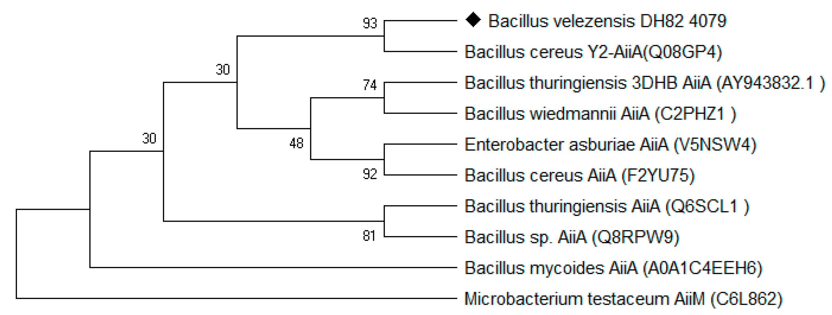 Ijerph 17 09539 g002