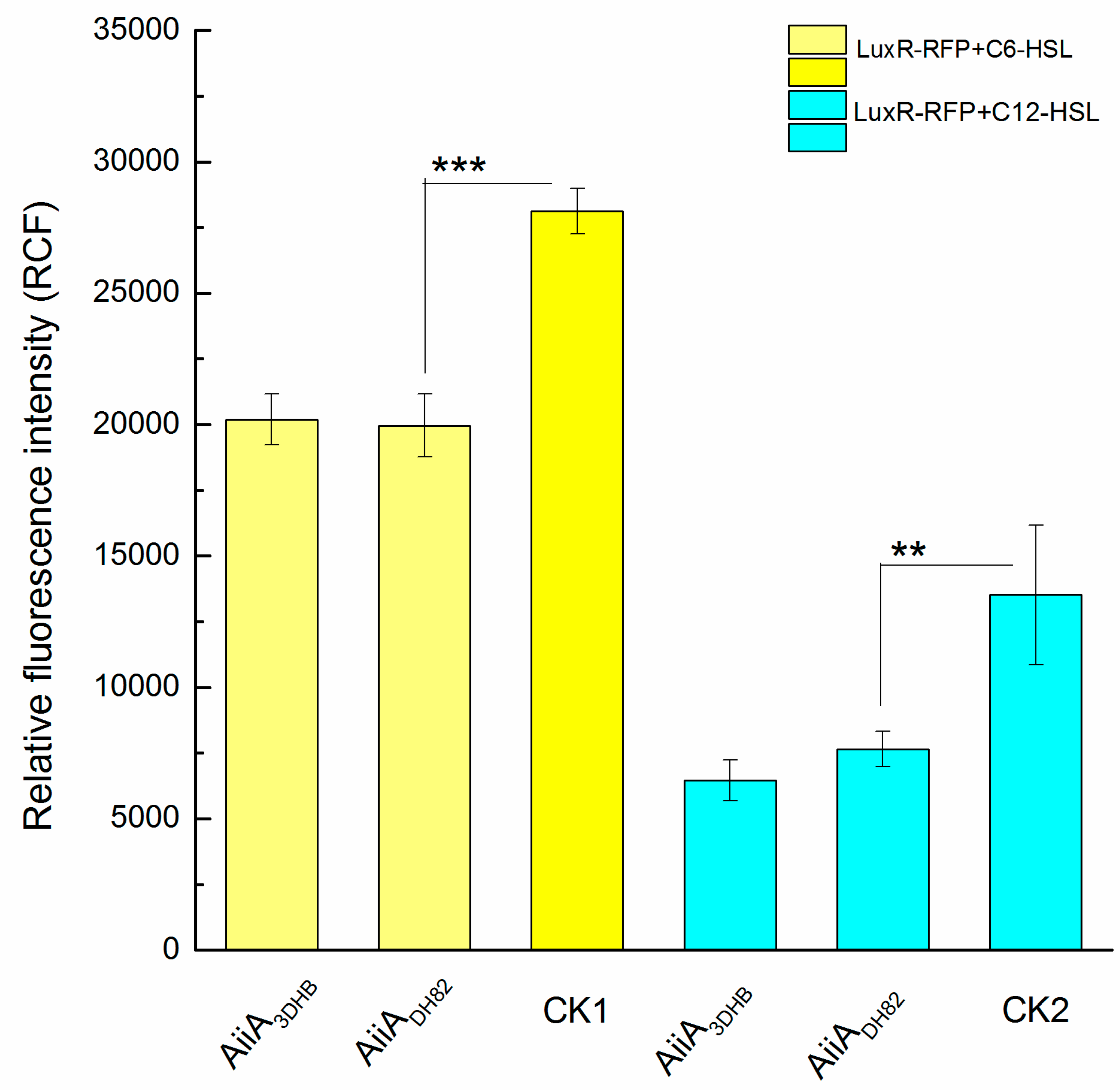 Ijerph 17 09539 g004
