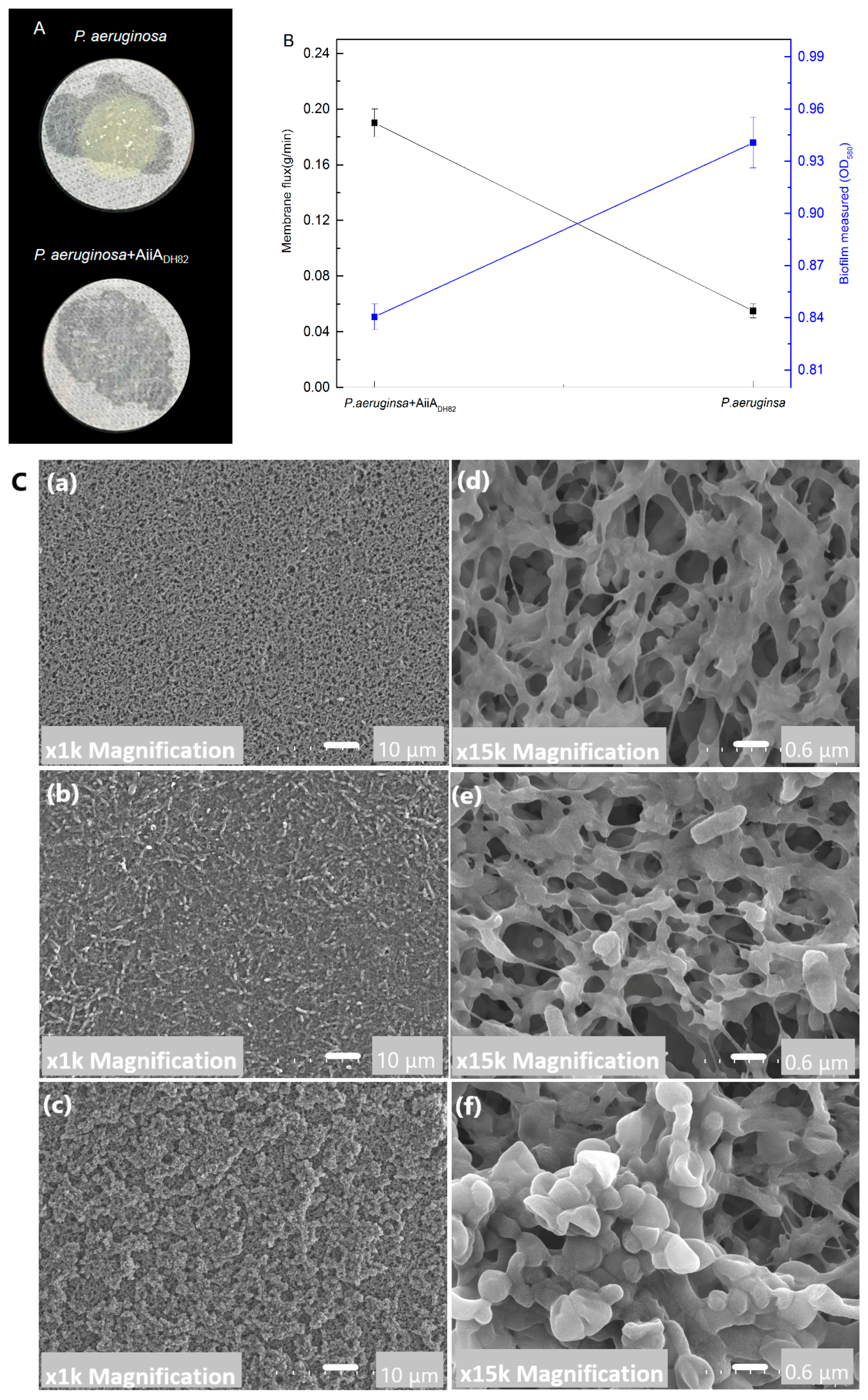 Ijerph 17 09539 g006