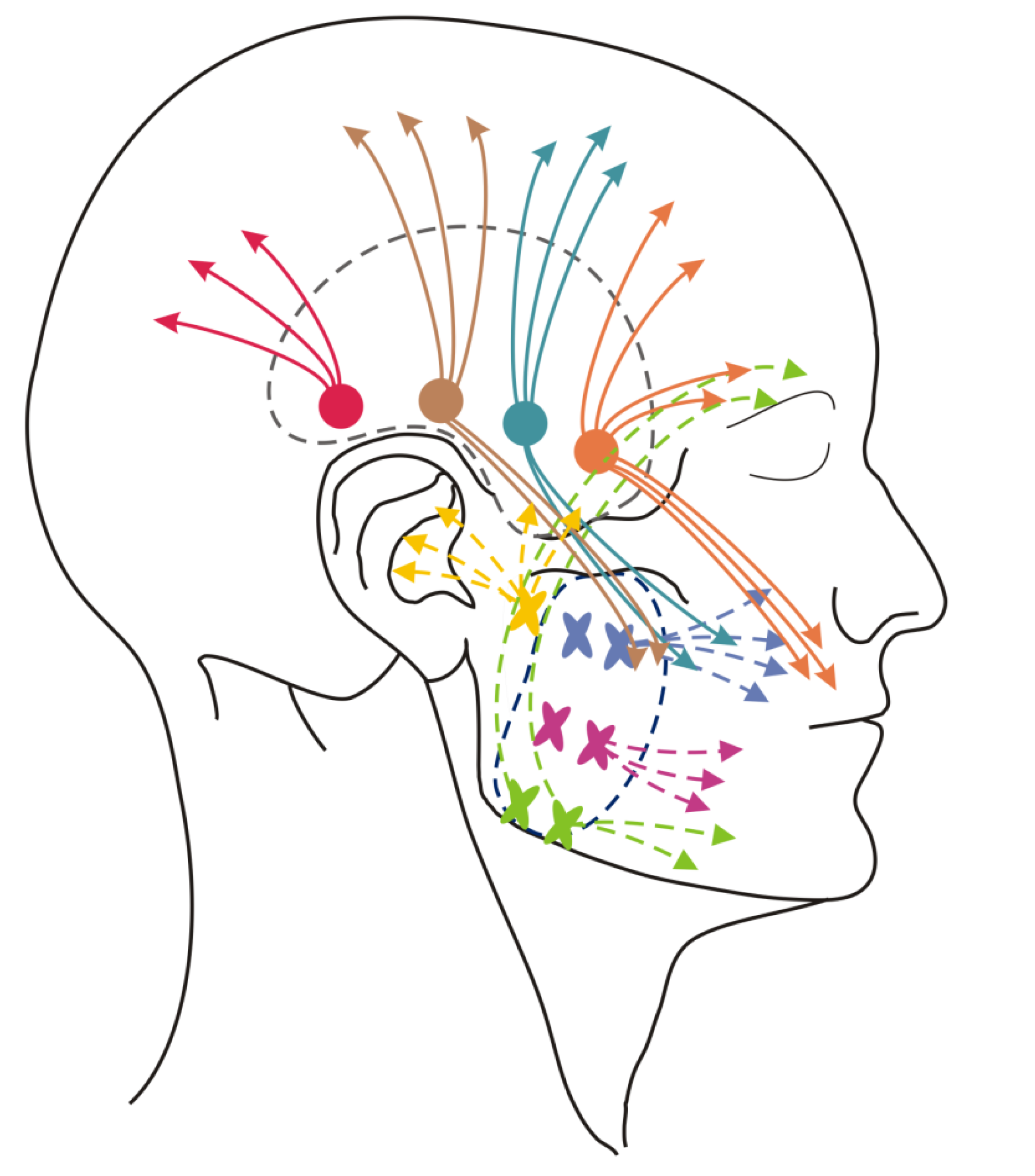 Ijerph 17 09576 g006 Ijerph 17 09576 g006