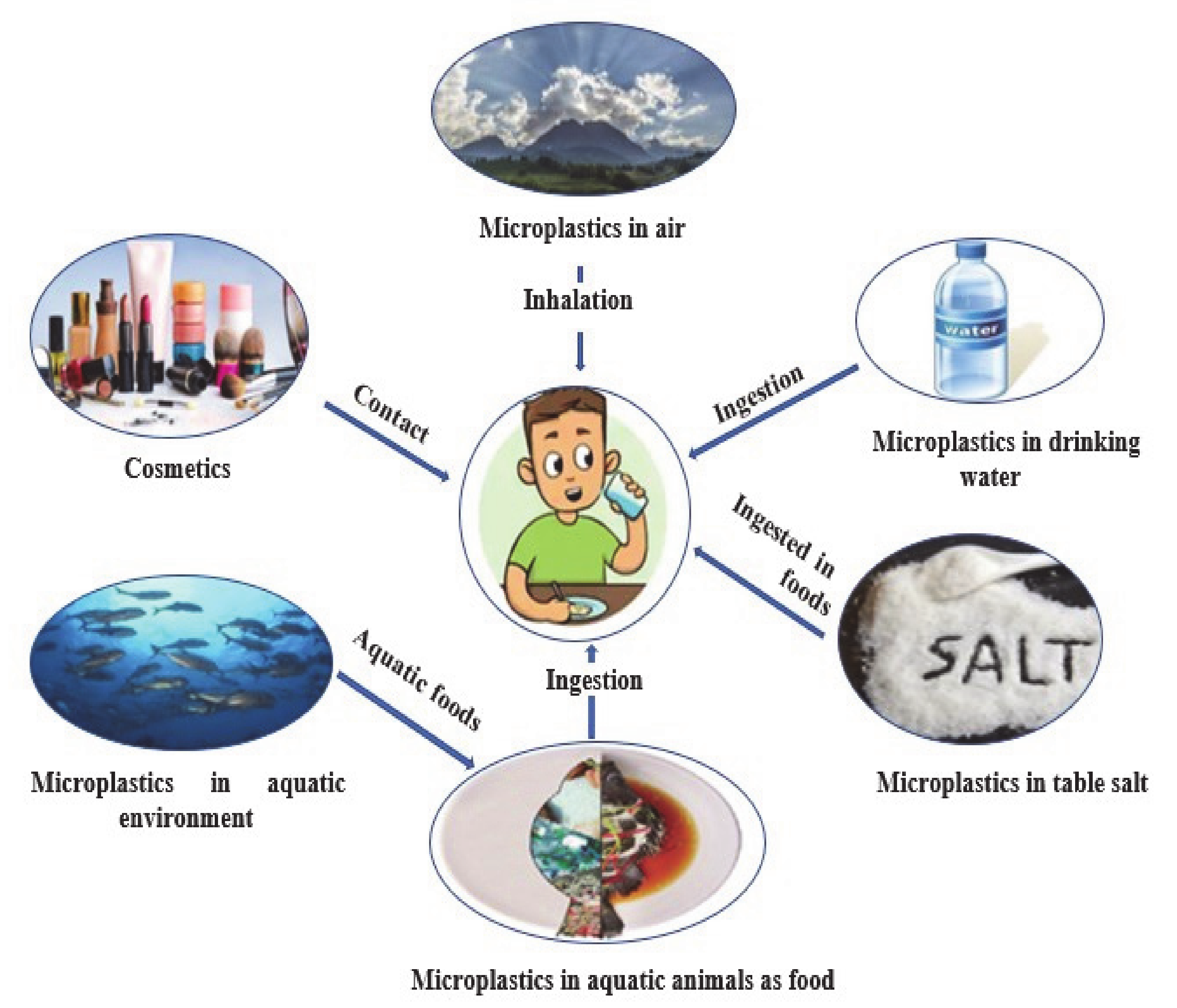 IJERPH | Free Full-Text | Microplastics Pollution as an Invisible Potential  Threat to Food Safety and Security, Policy Challenges and the Way Forward