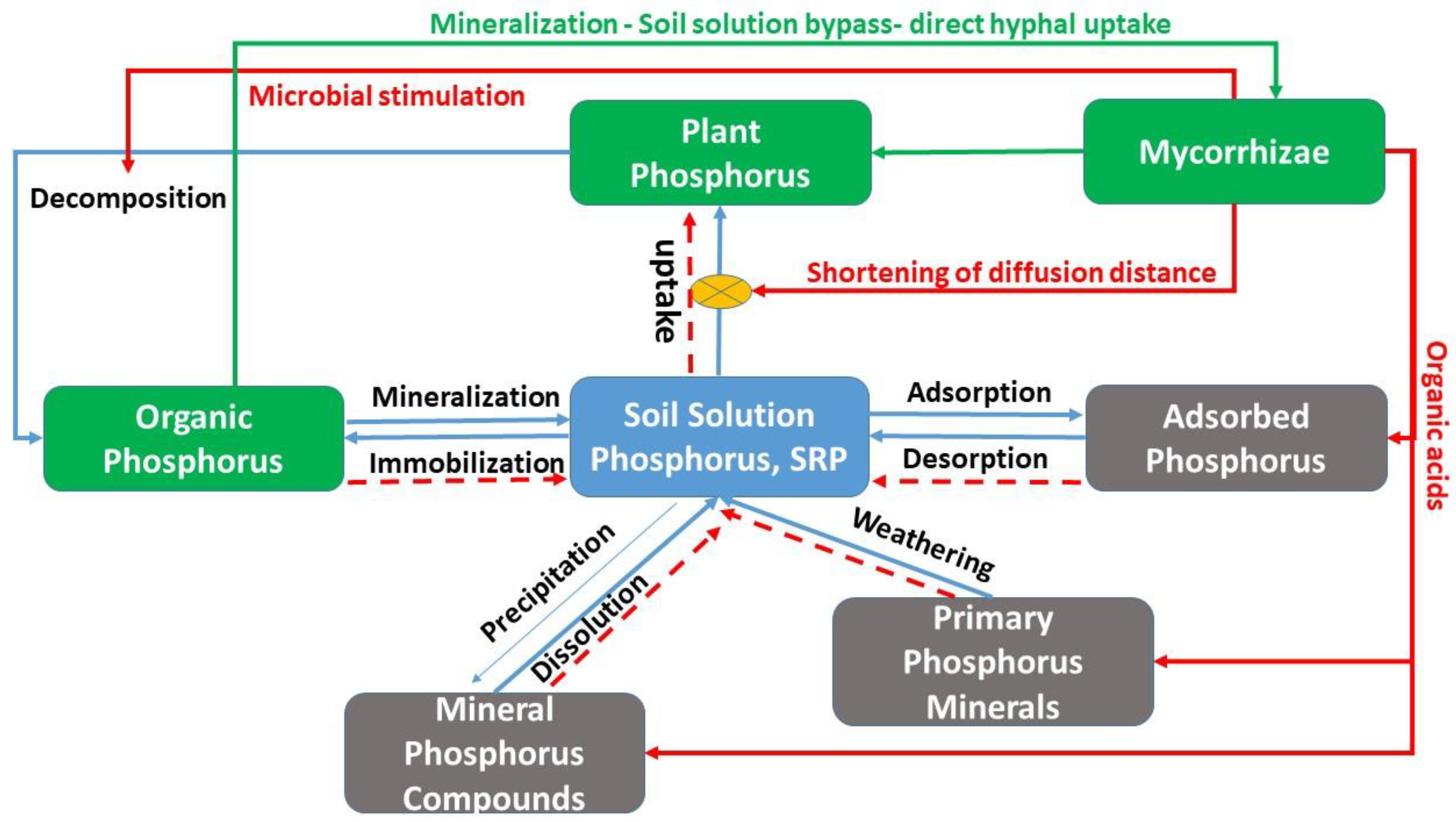 Ijerph 18 00007 g001 Ijerph 18 00007 g001