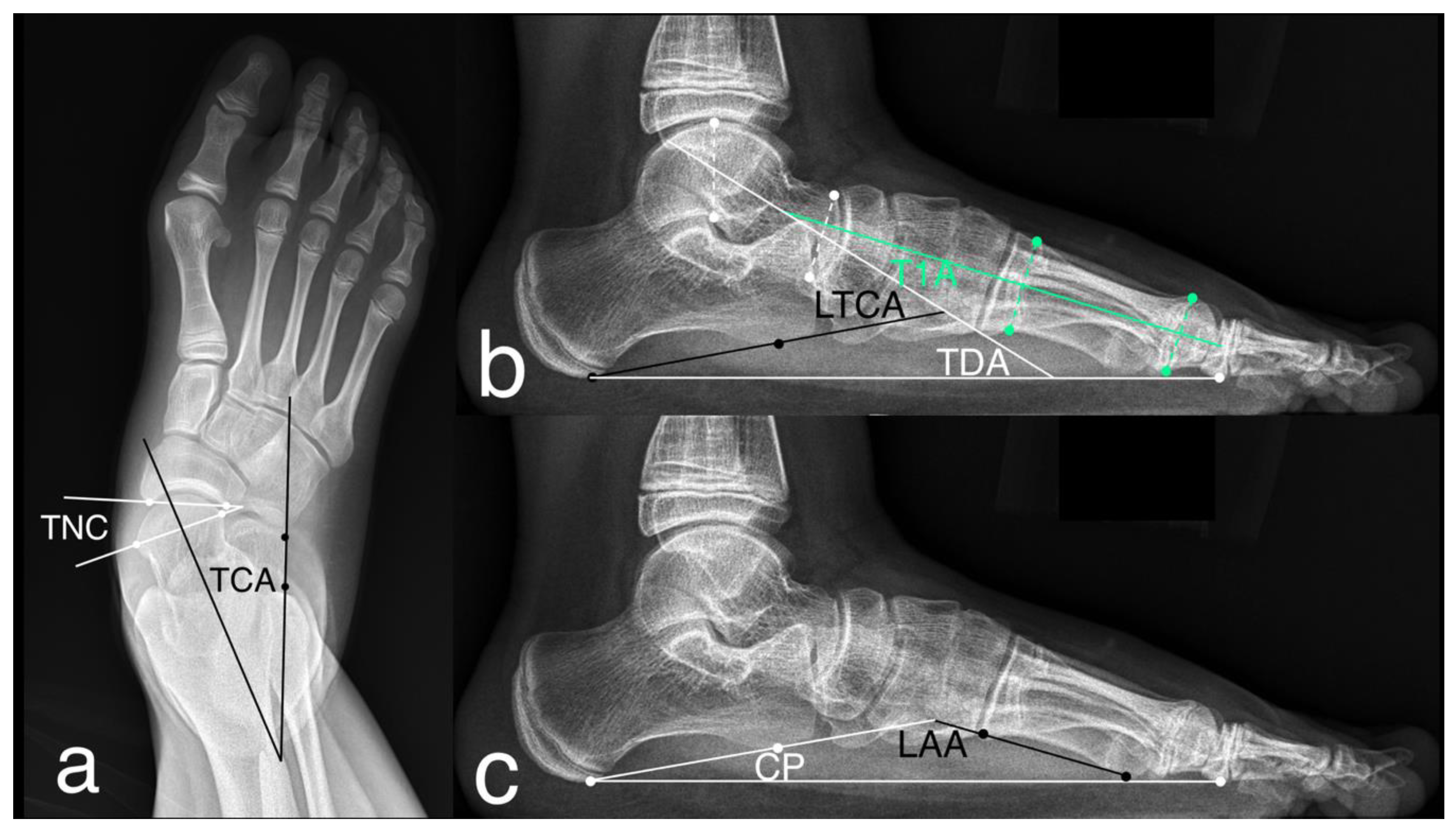 Ijerph 18 00067 g002 Ijerph 18 00067 g002