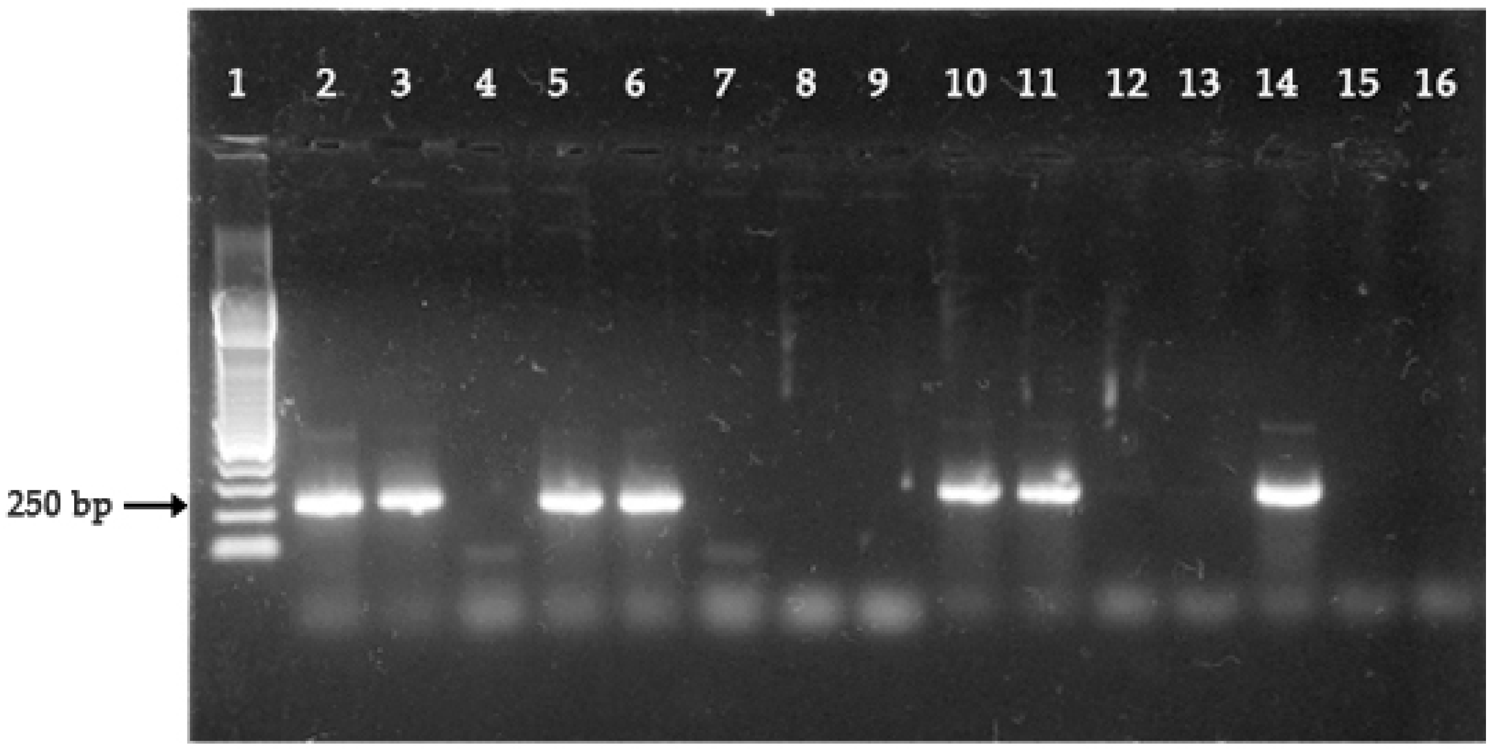 Ijerph 18 00123 g001 Ijerph 18 00123 g001