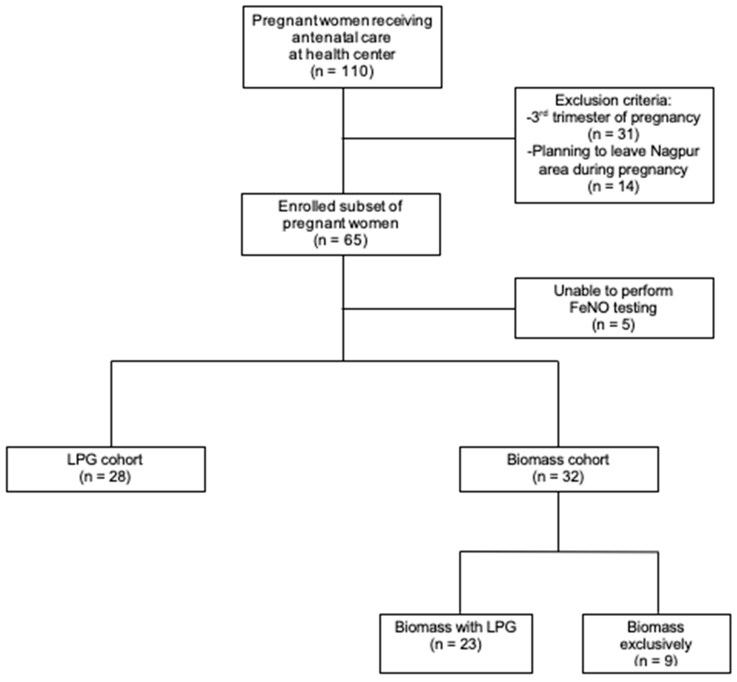 Ijerph Free Full Text Assessing The Respiratory Effects Of Air Pollution From Biomass Cookstoves On Pregnant Women In Rural India Html Ijerph Free Full Text Assessing The Respiratory Effects Of Air Pollution From Biomass Cookstoves On Pregnant Women In Rural India Html
