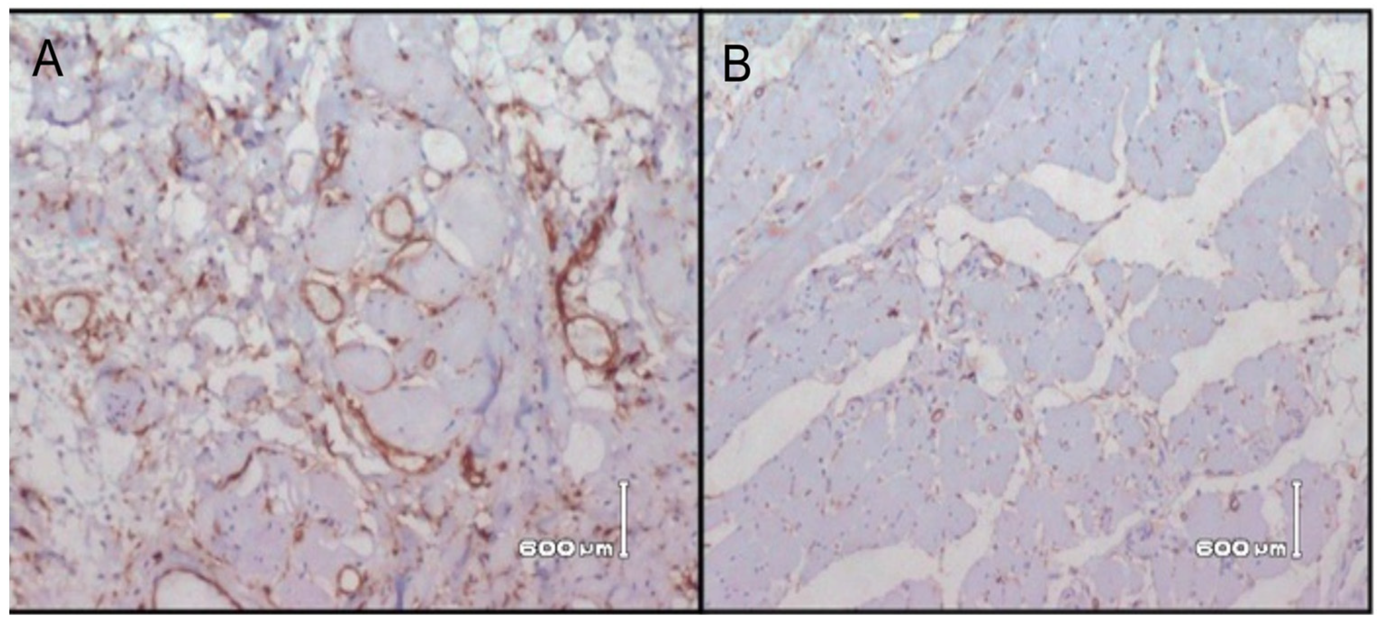 Ijerph 18 00192 g001 Ijerph 18 00192 g001