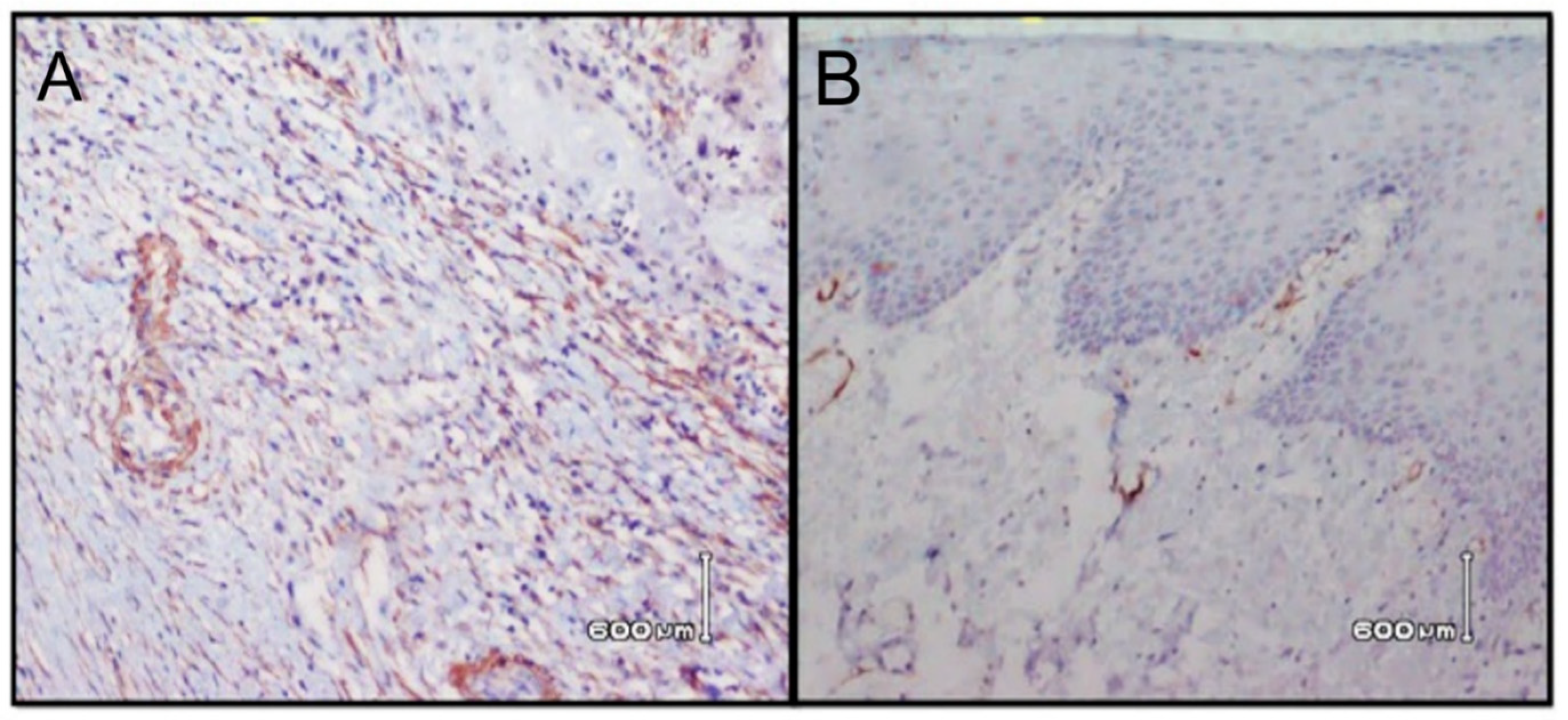 Ijerph 18 00192 g002 Ijerph 18 00192 g002