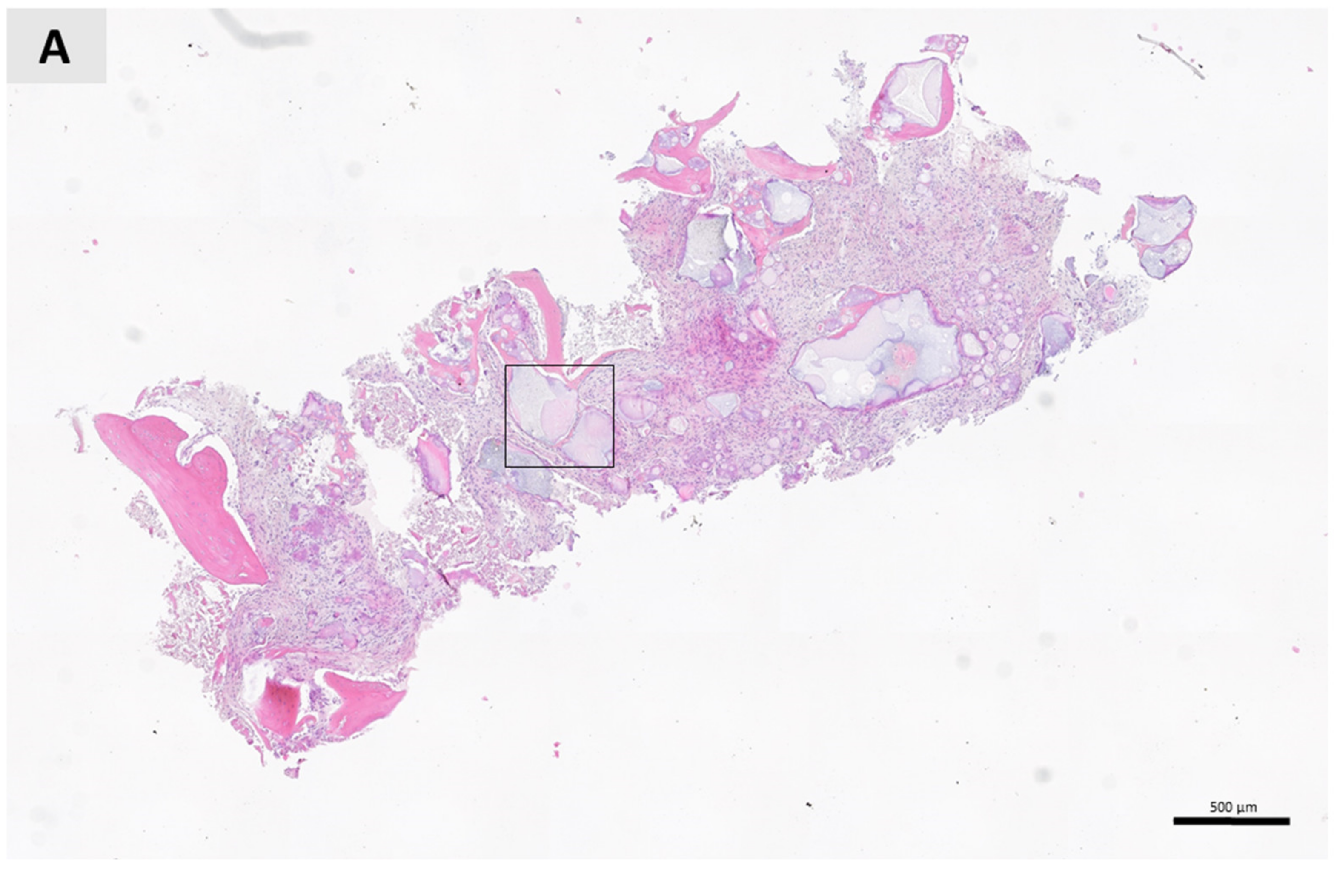 Ijerph 18 00206 g003a