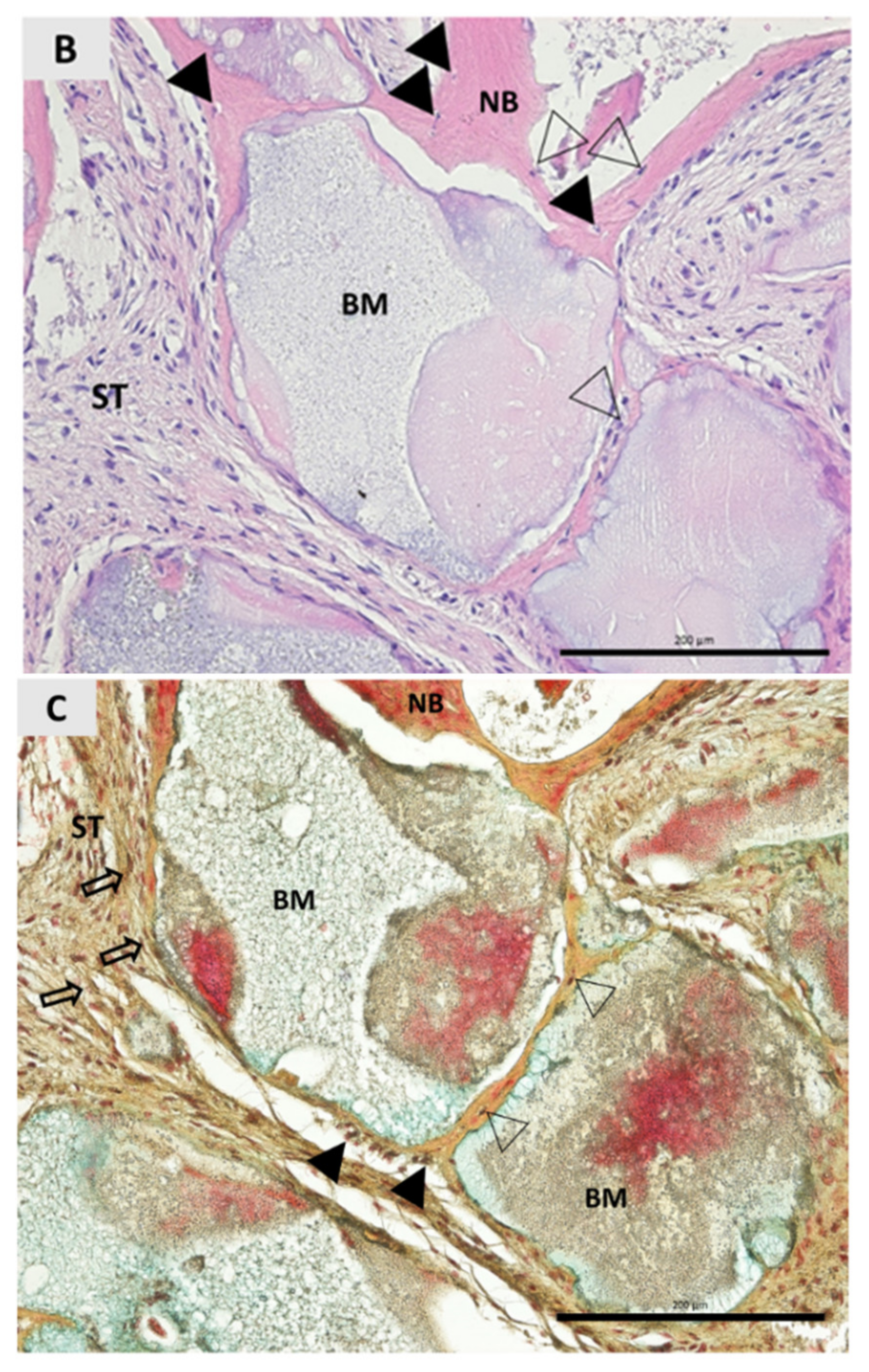 Ijerph 18 00206 g003b