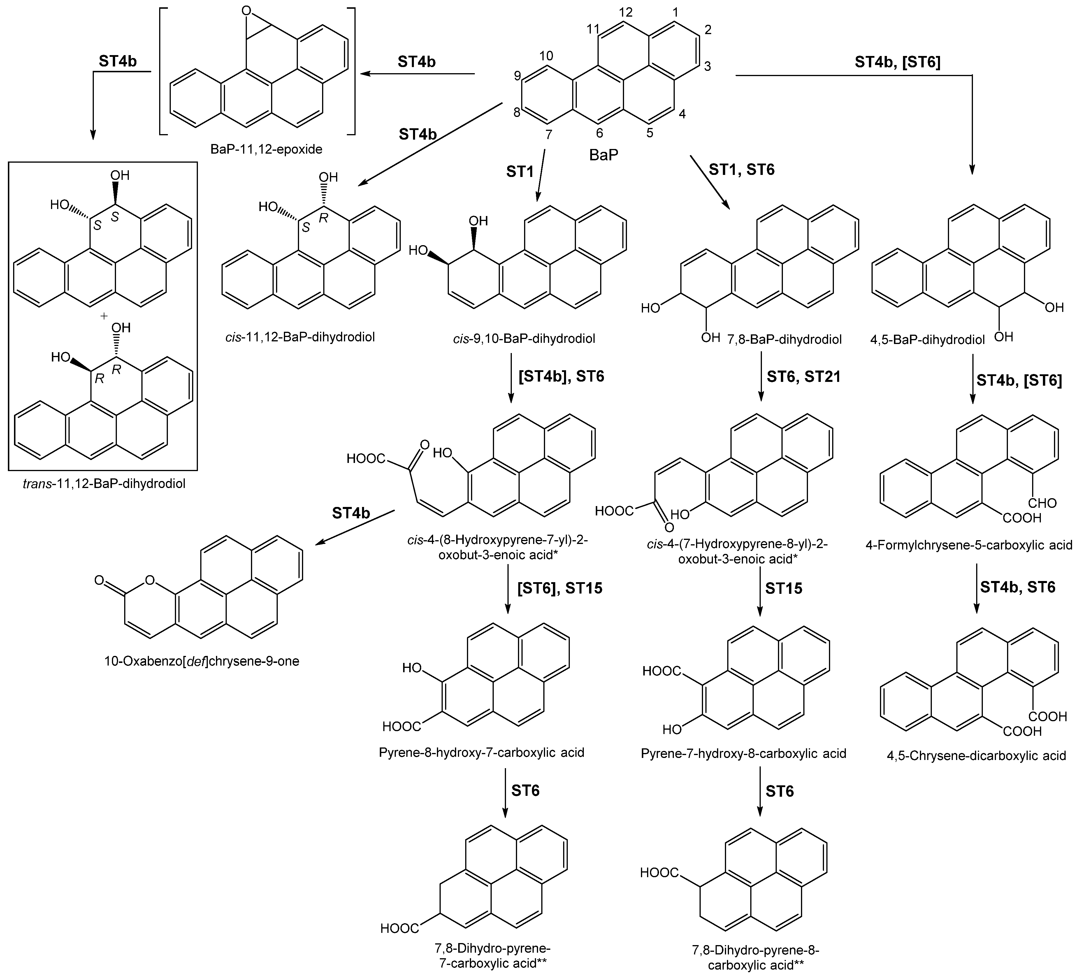 Ijerph 18 00262 sch001 Ijerph 18 00262 sch001