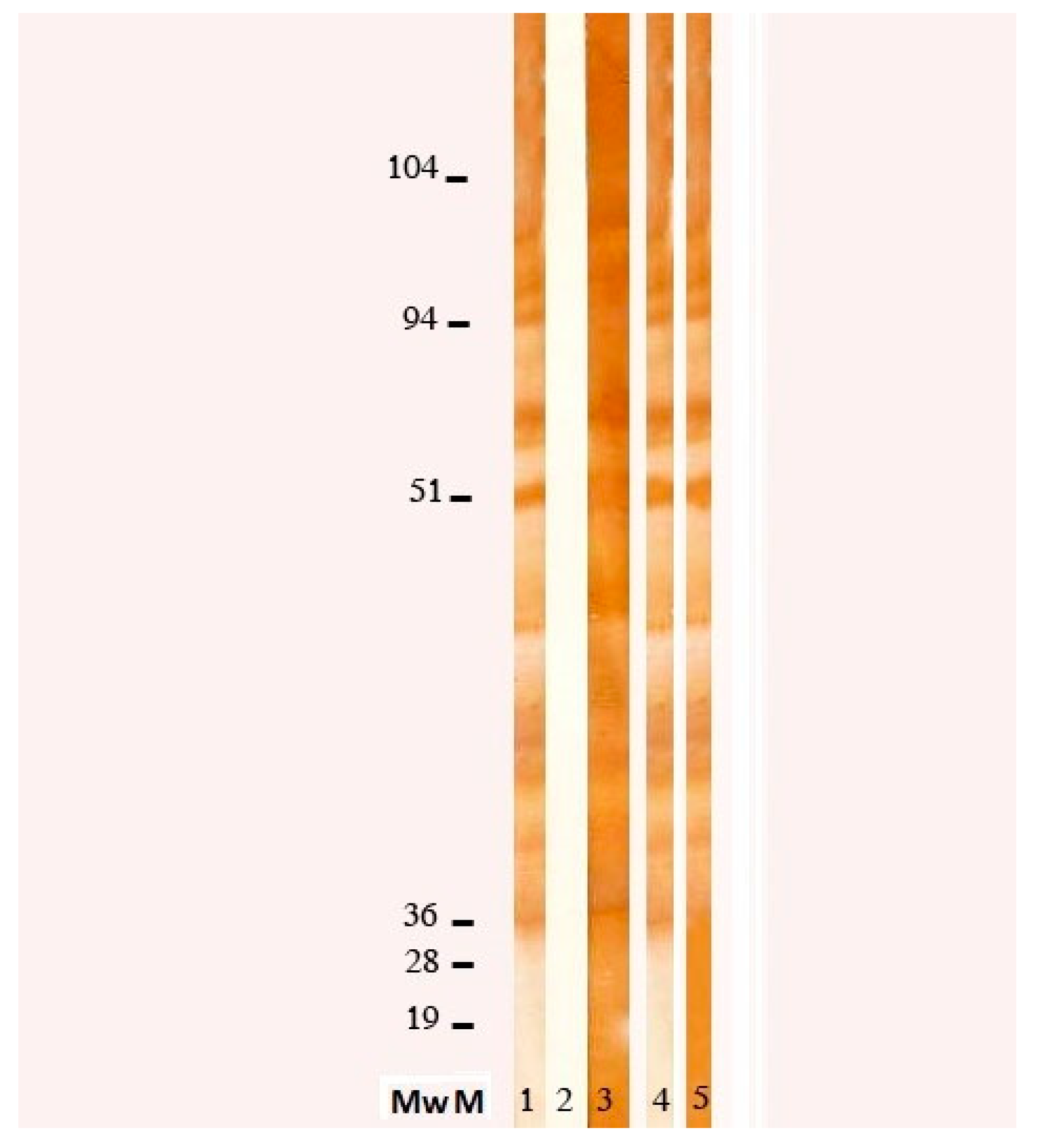 Ijerph 18 00283 g002