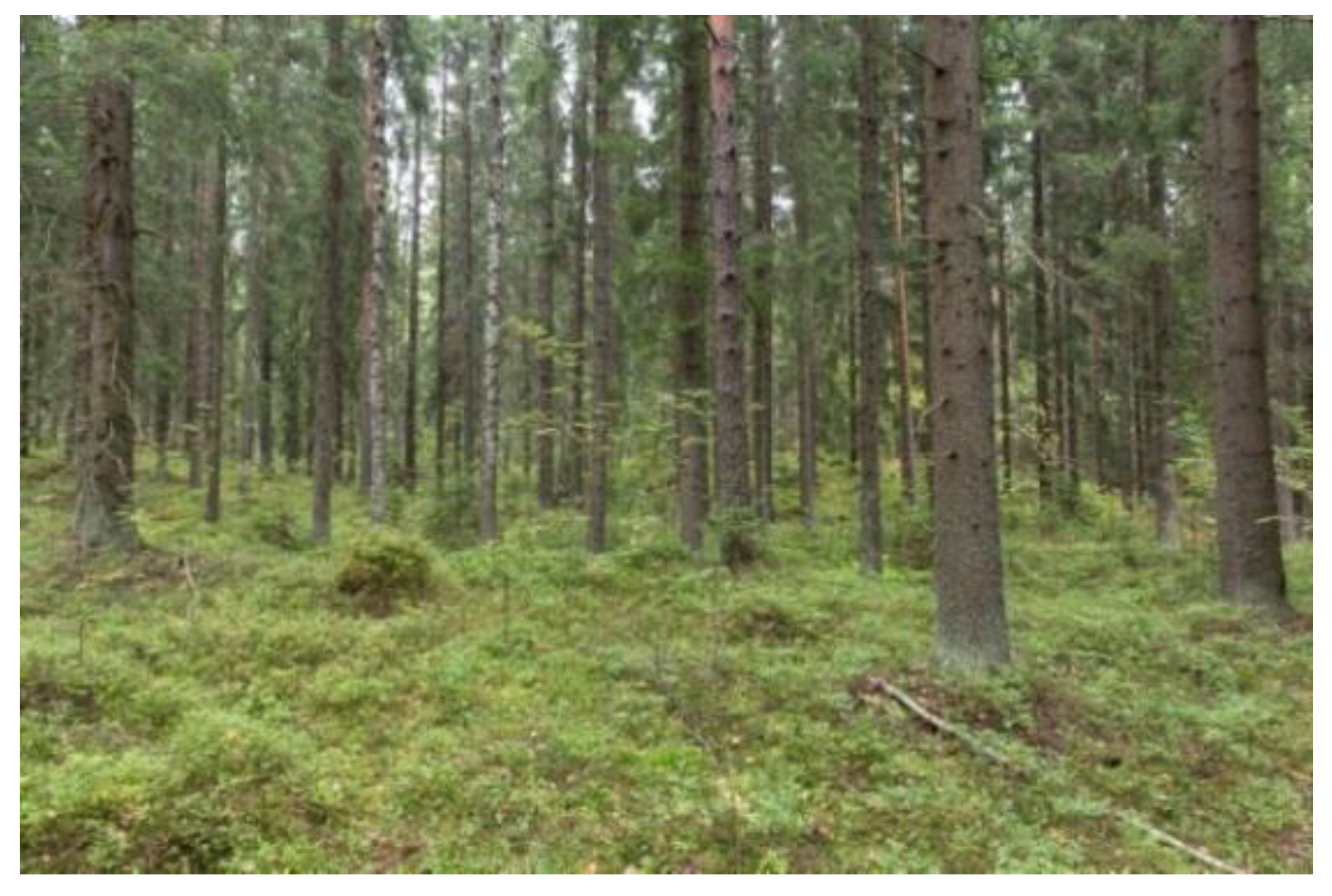 Ijerph 18 00422 g003 Ijerph 18 00422 g003