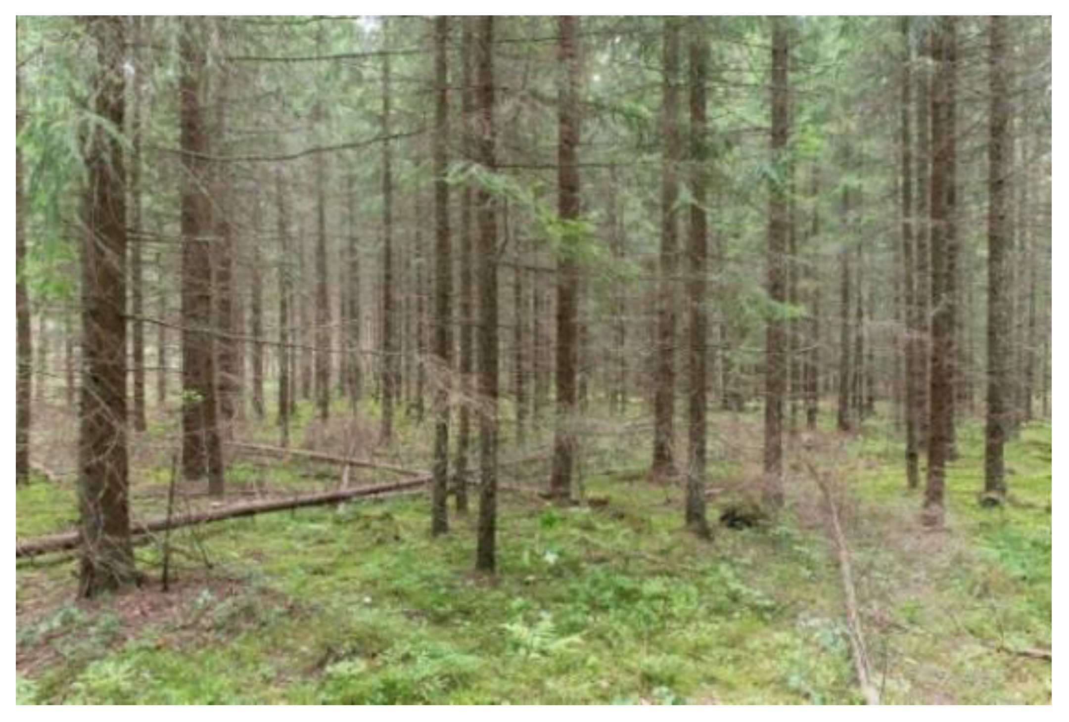 Ijerph 18 00422 g004 Ijerph 18 00422 g004