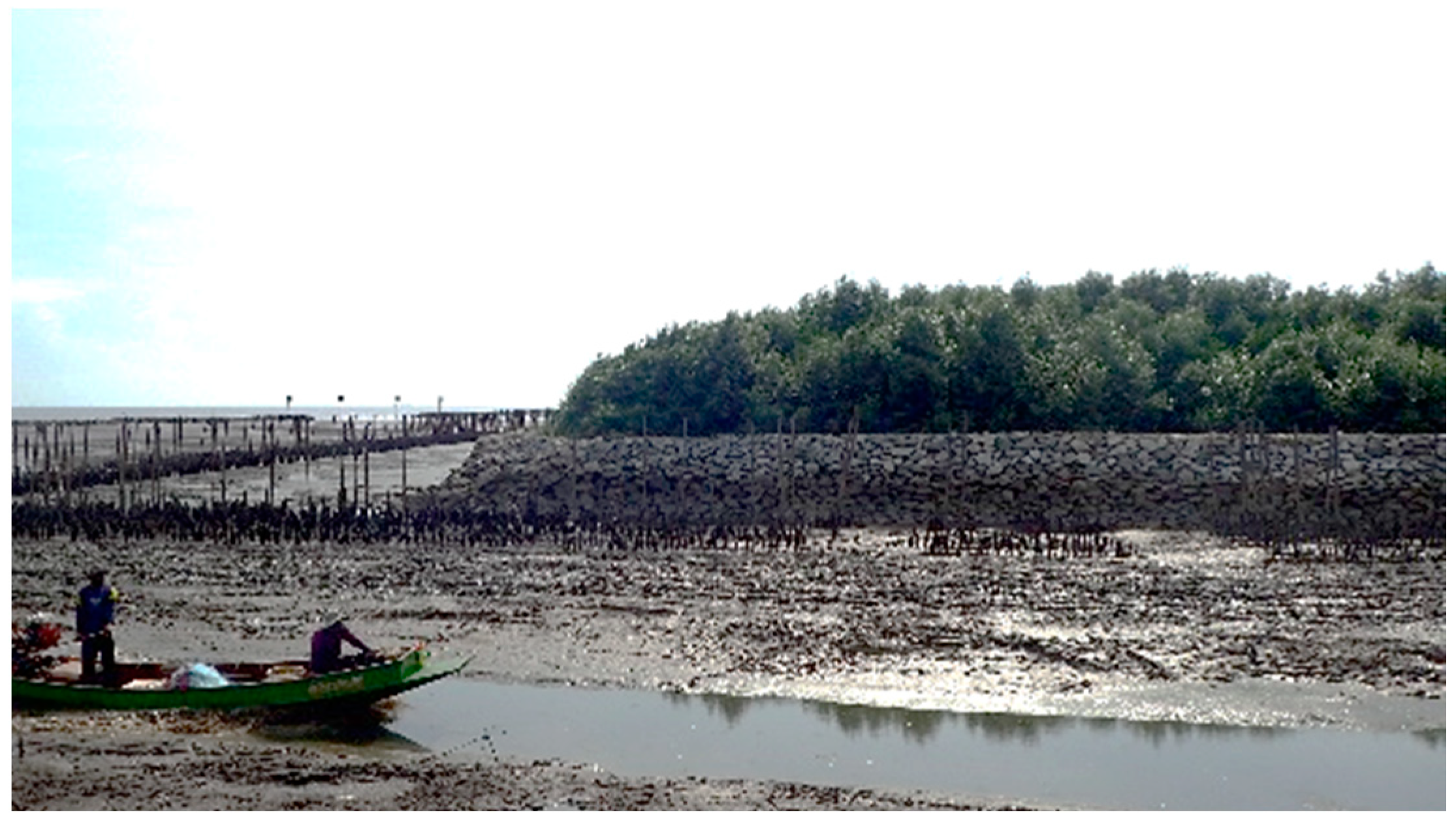 Ijerph 18 00590 g001