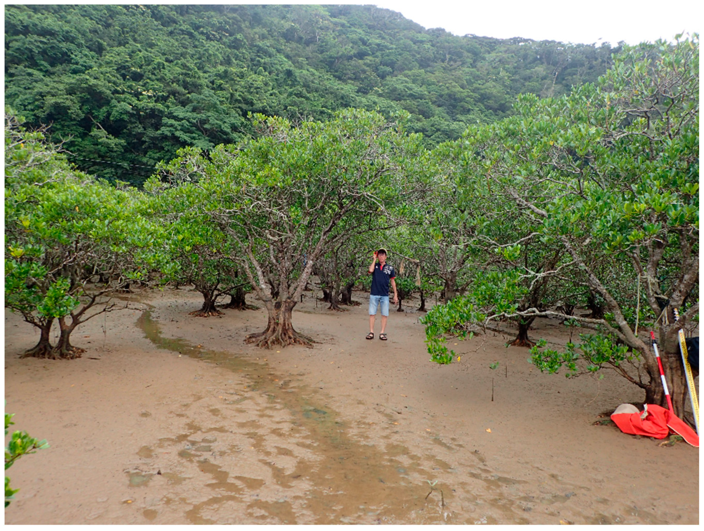 Ijerph 18 00590 g004